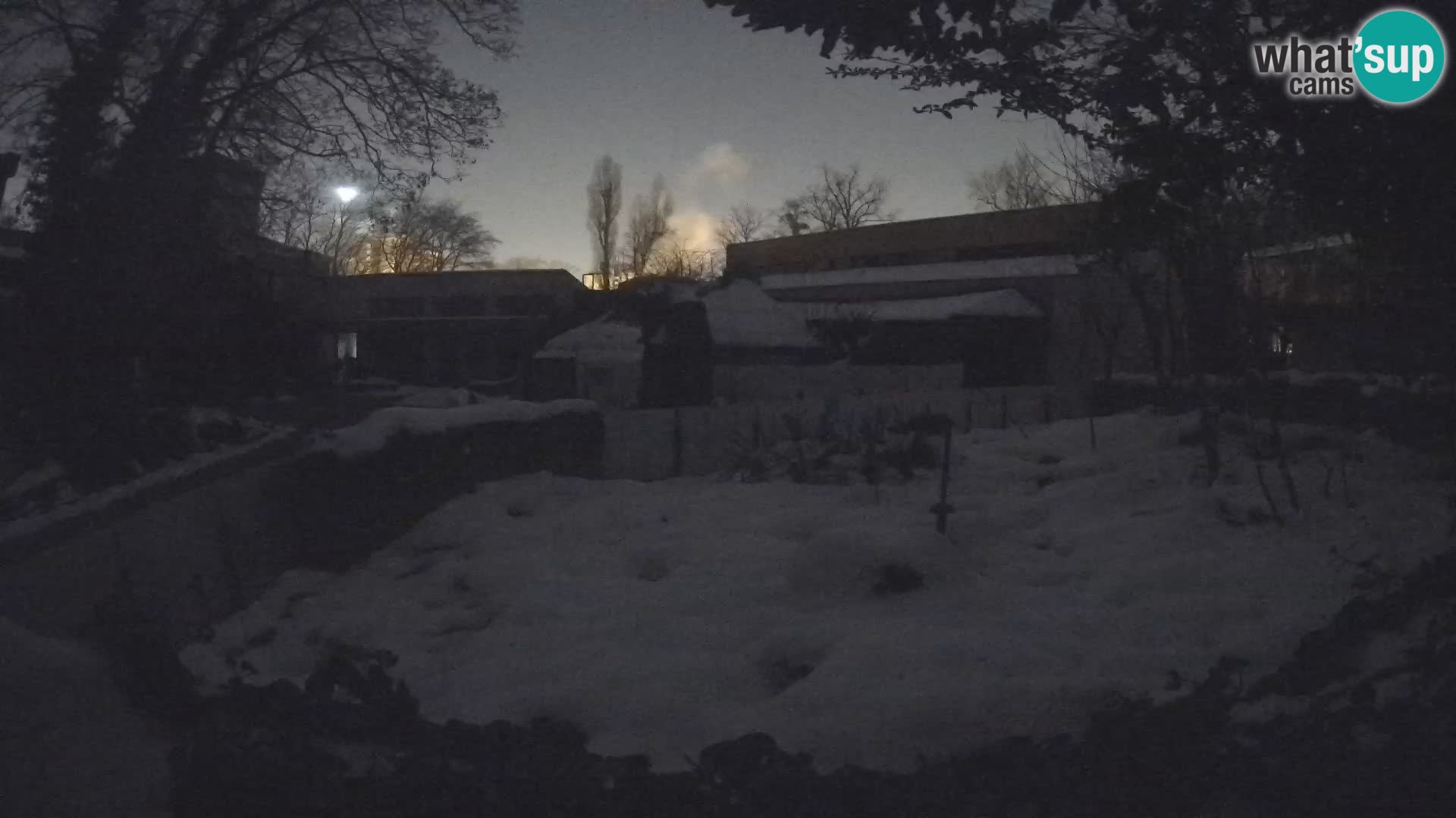 Zoo Zagreb – Erdmännchen