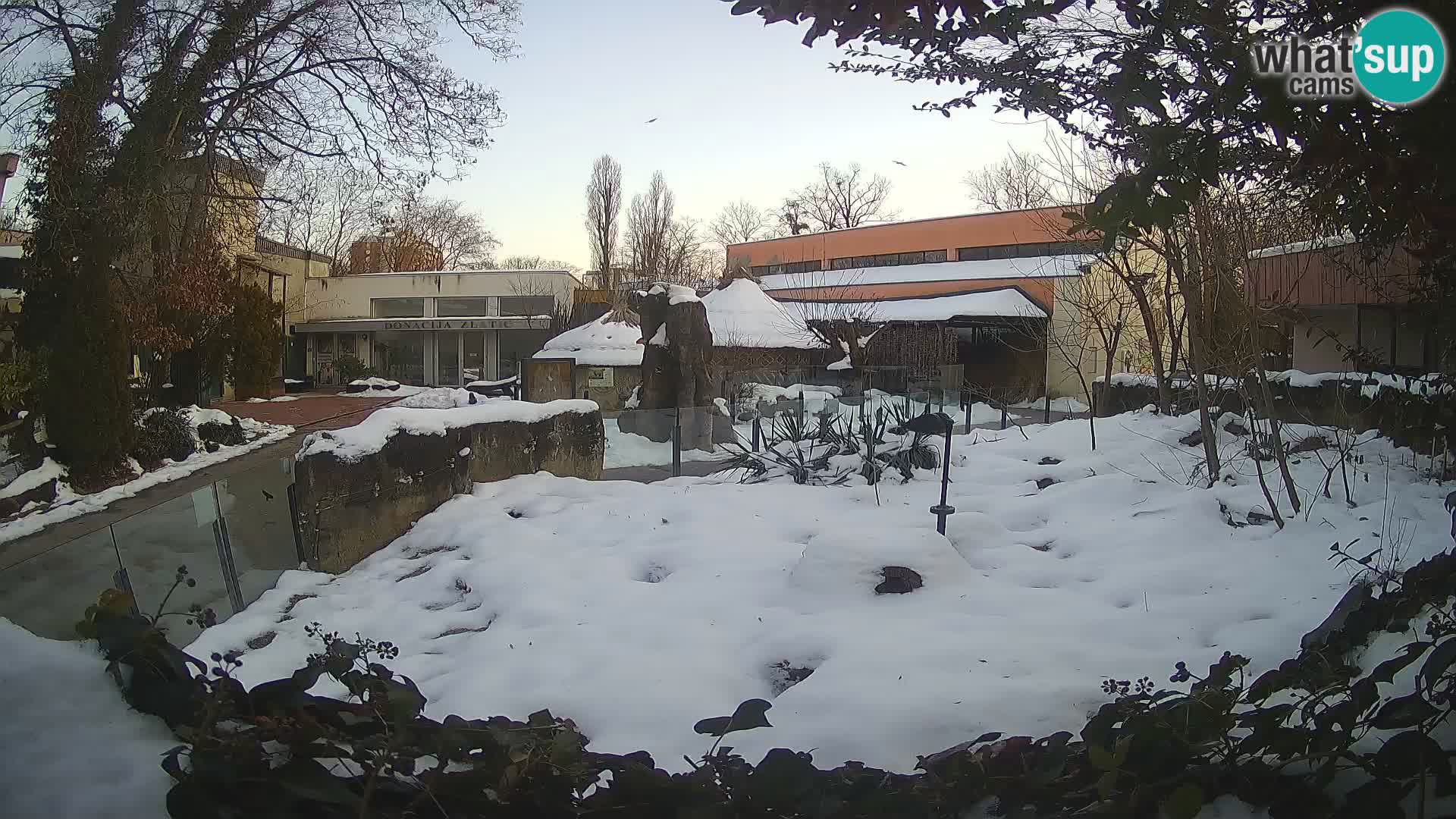 Zoo Zagreb – Erdmännchen