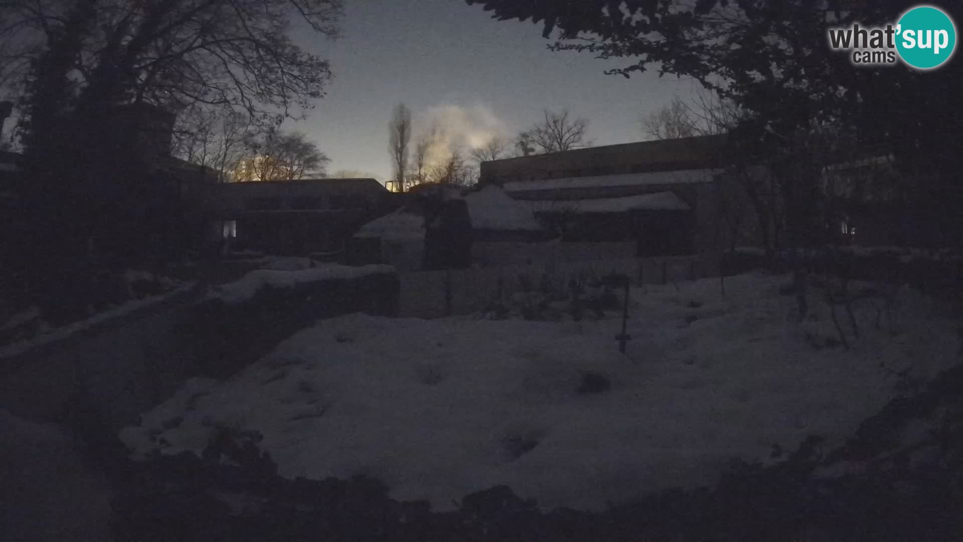 Zoo Zagreb – Erdmännchen