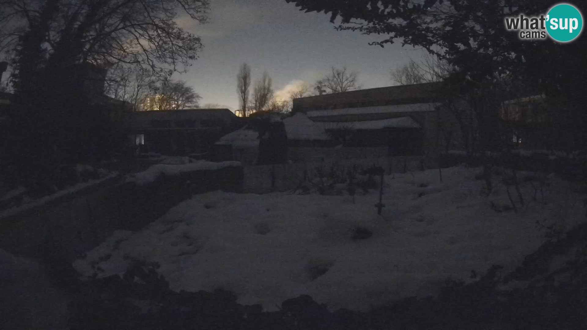 Zoo Zagreb – Surikate