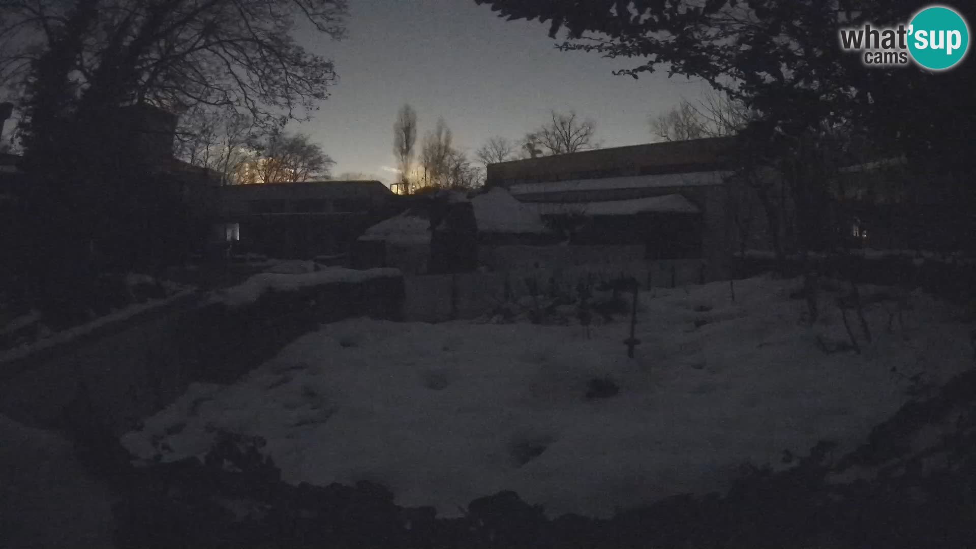 Zoo Zagreb – Surikate