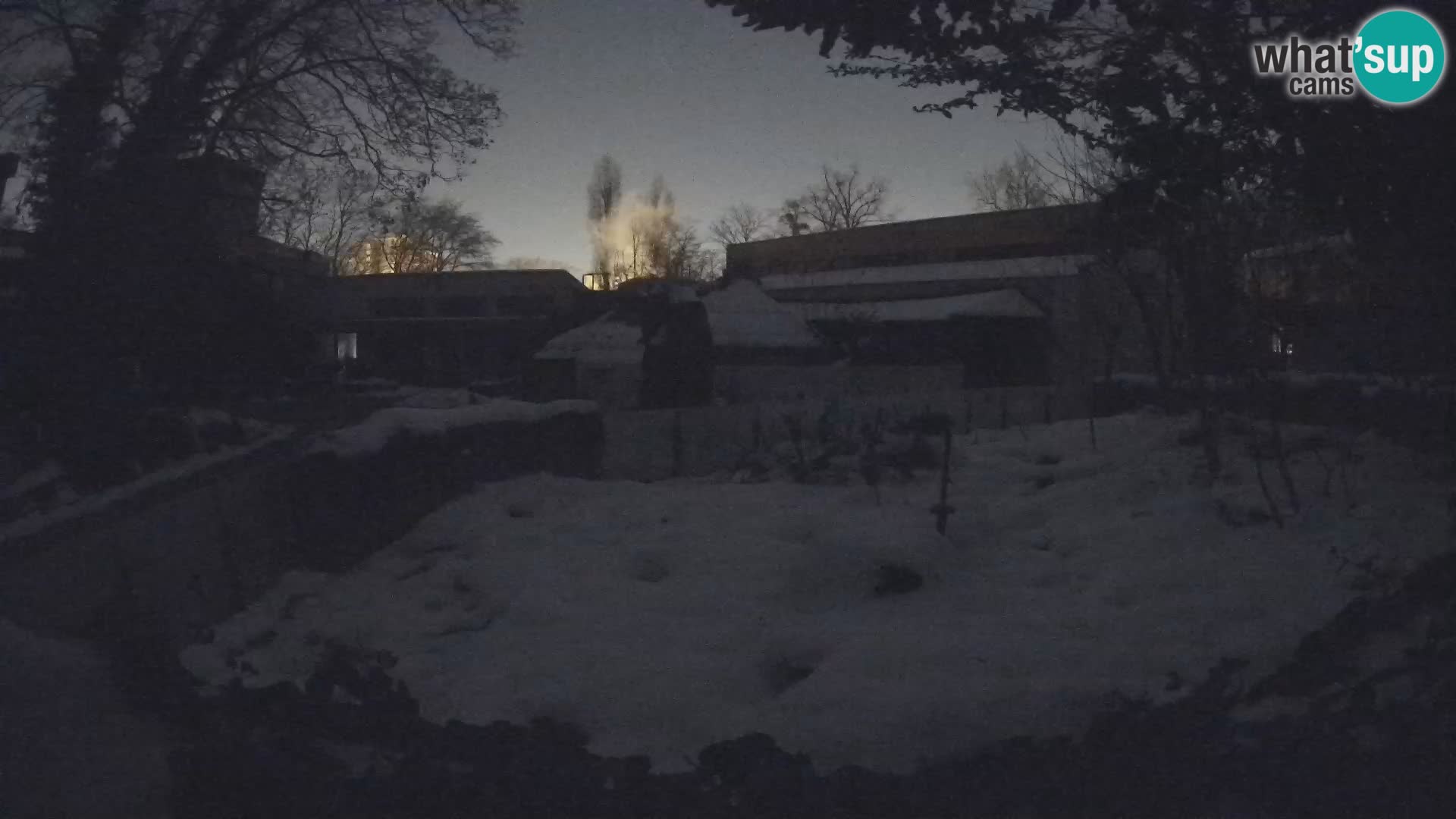 Zoo Zagreb – Erdmännchen