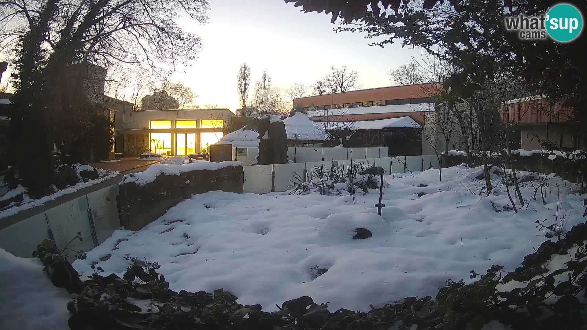 Zoo Zagreb – Erdmännchen