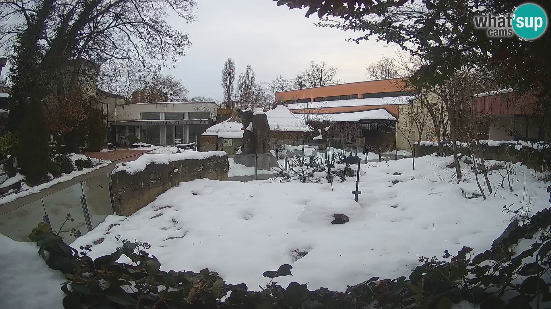 Zoo Zagreb – Erdmännchen