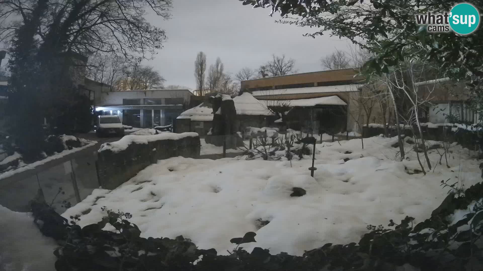 Zoo Zagreb – Erdmännchen