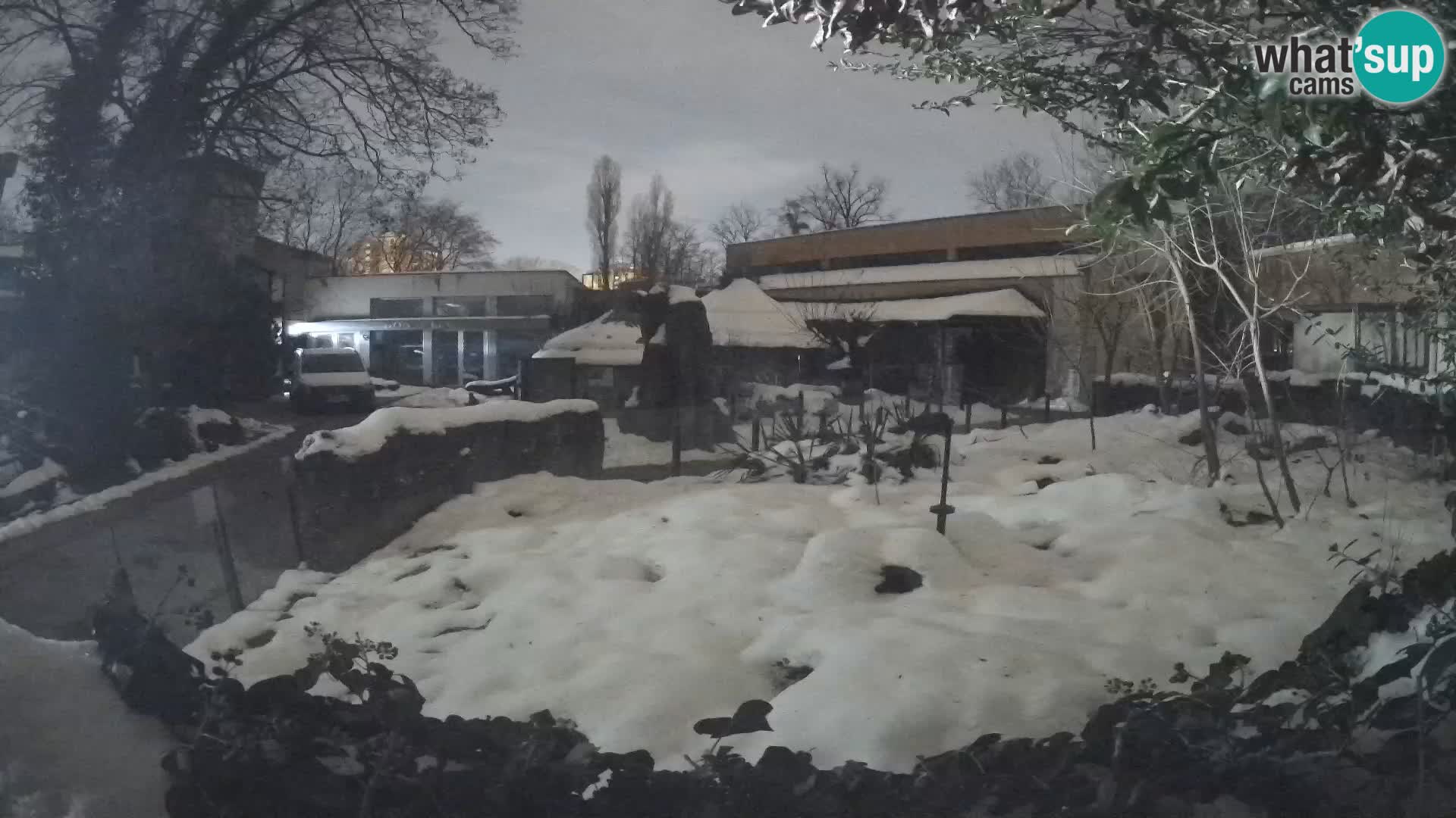 Zoo Zagreb – Surikate