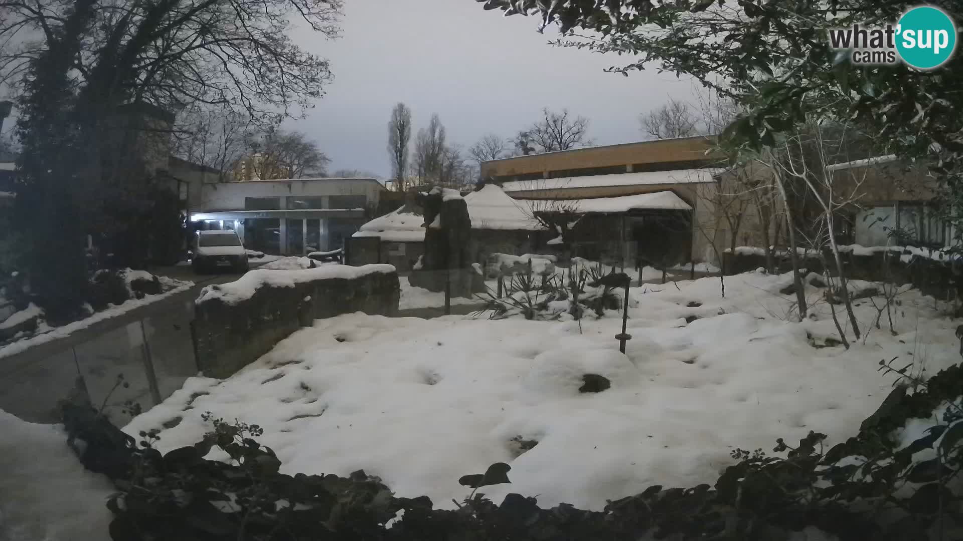 Zoo Zagreb – Erdmännchen