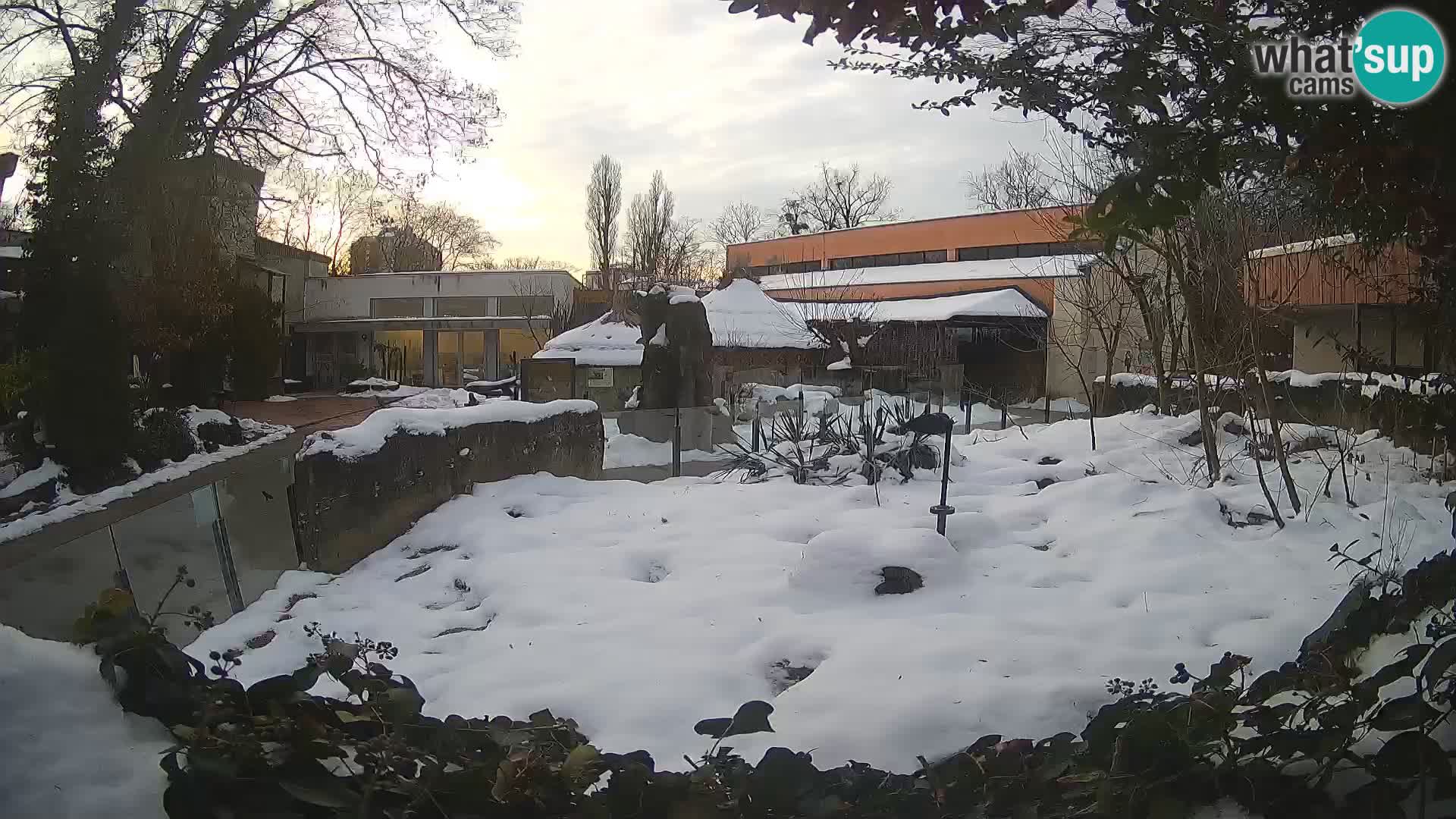 Zoo Zagreb – Merkat