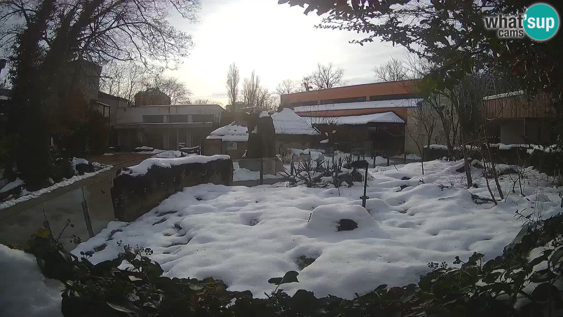 Zoo Zagreb – Erdmännchen