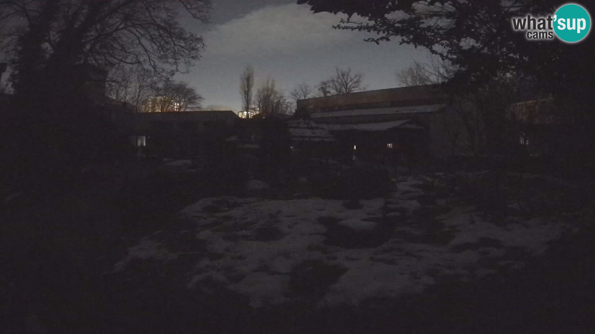 Zoo Zagreb – Merkat