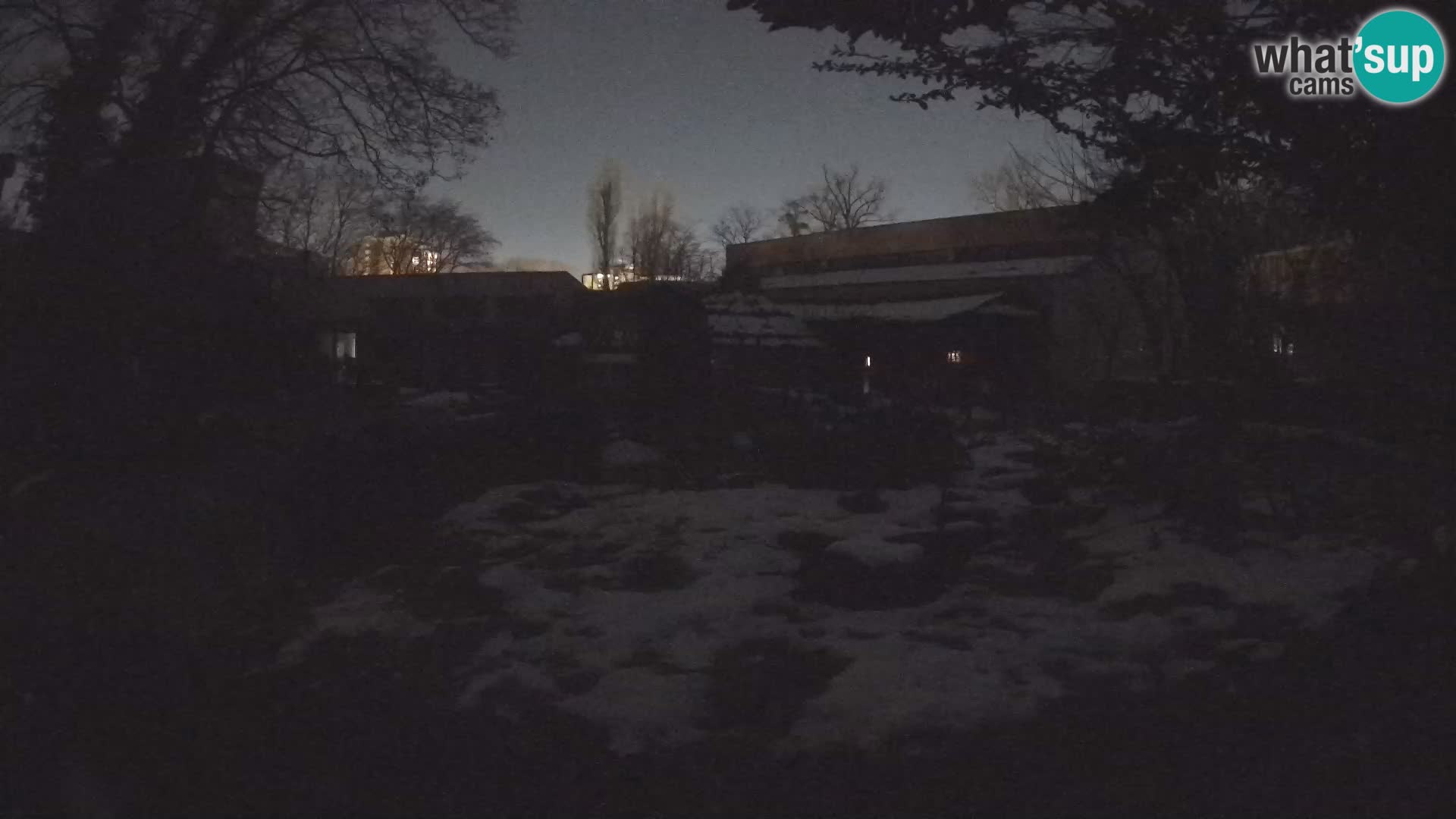 Zoo Zagreb – Erdmännchen