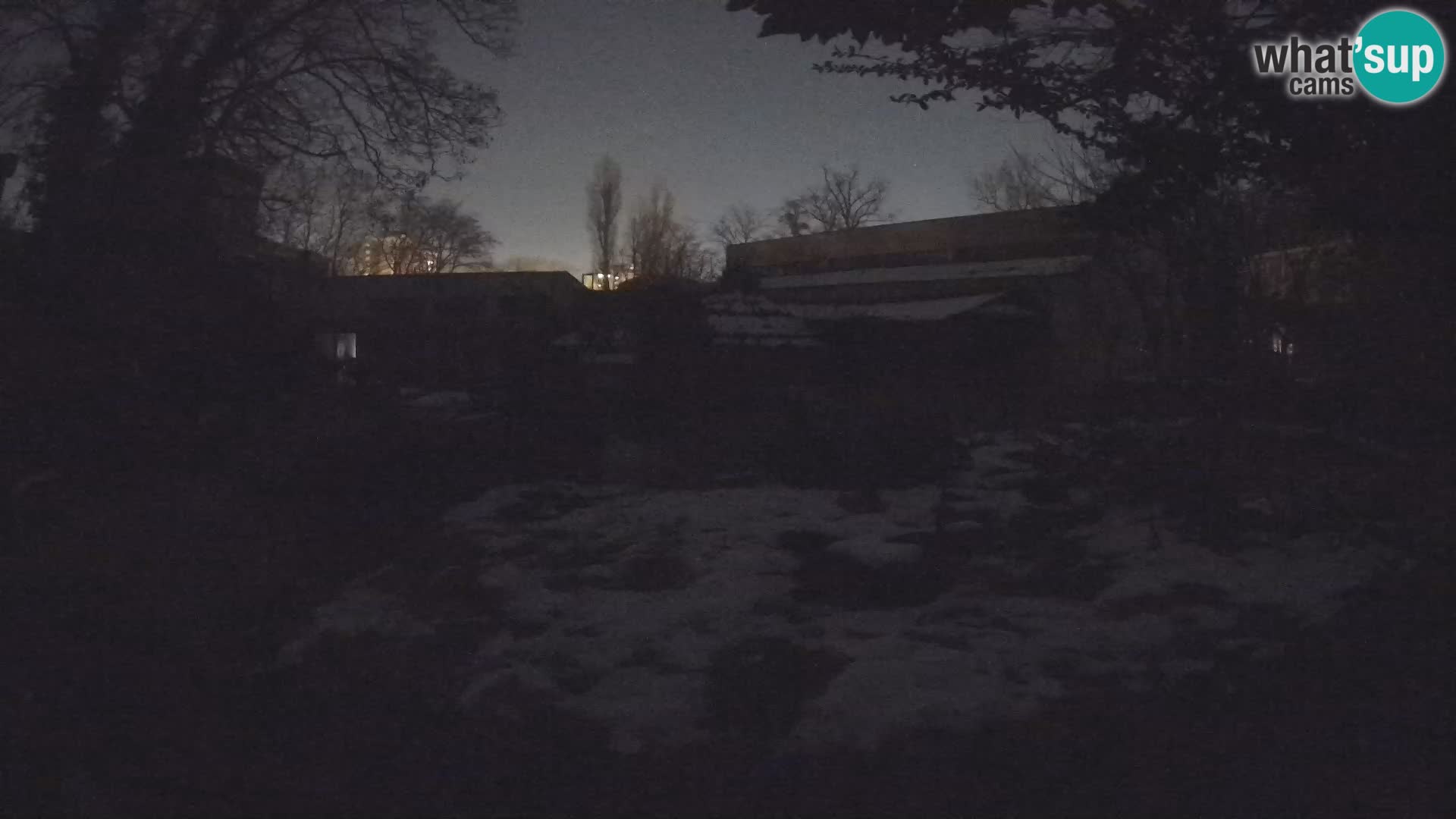 Zoo Zagreb – Erdmännchen