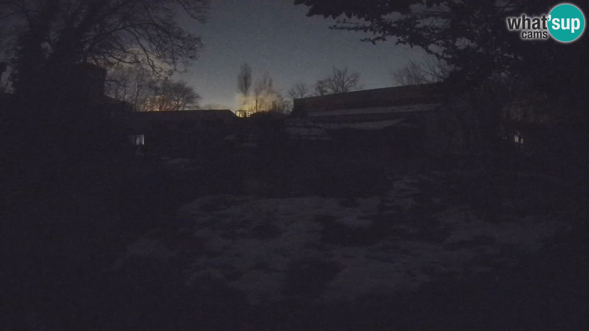 Zoo Zagreb – Erdmännchen