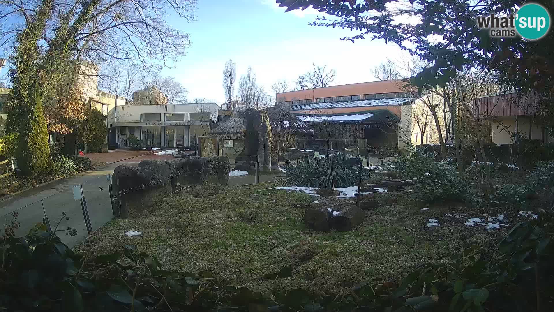 Zoo Zagreb – Erdmännchen