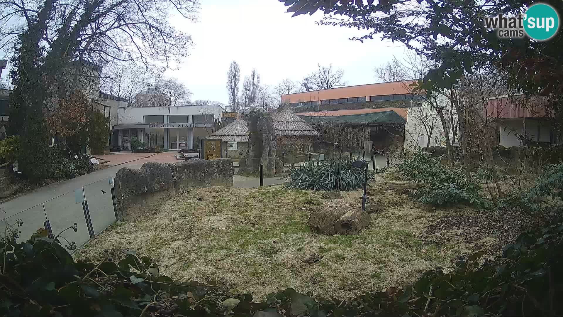 Zoo Zagreb – Erdmännchen