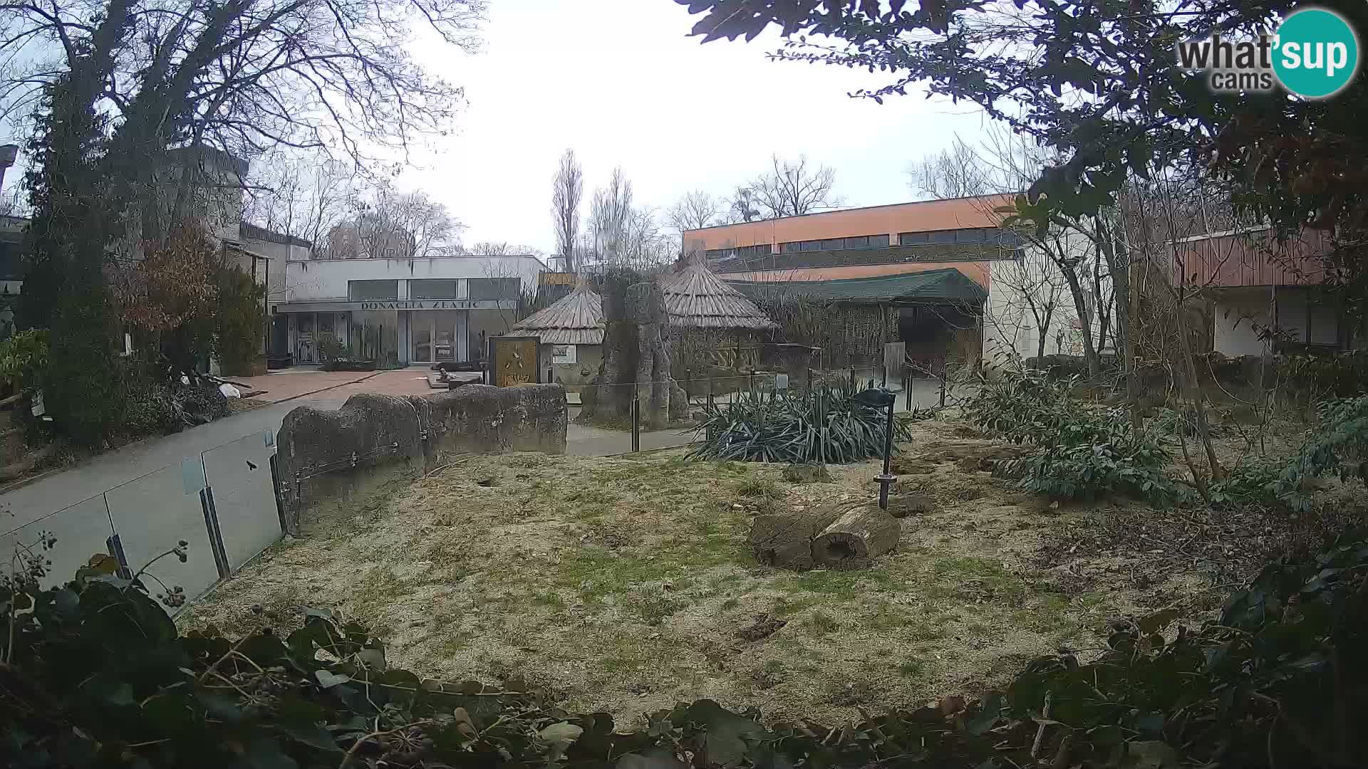 Zoo Zagreb – Merkat