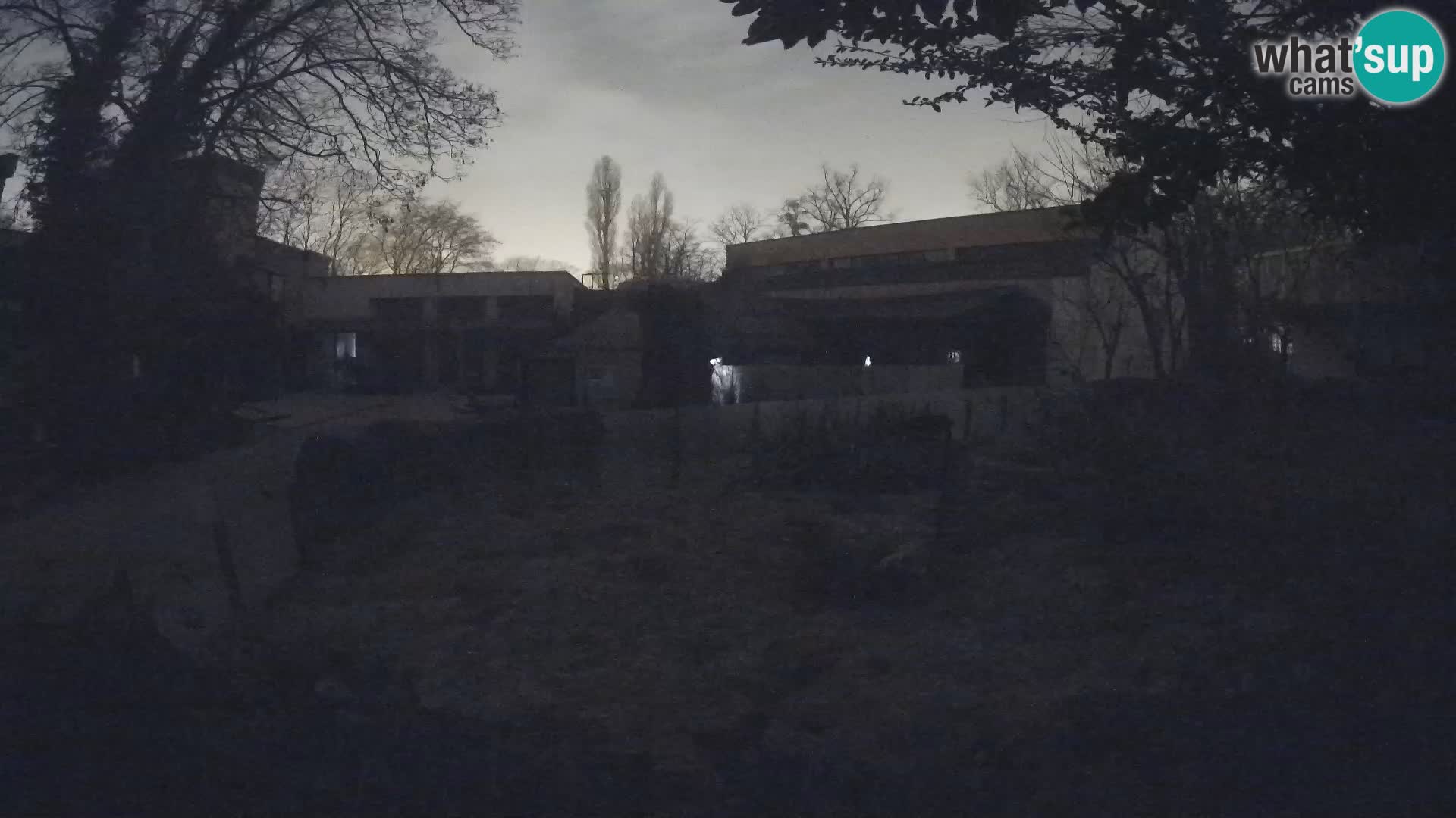 Zoo Zagreb – Erdmännchen