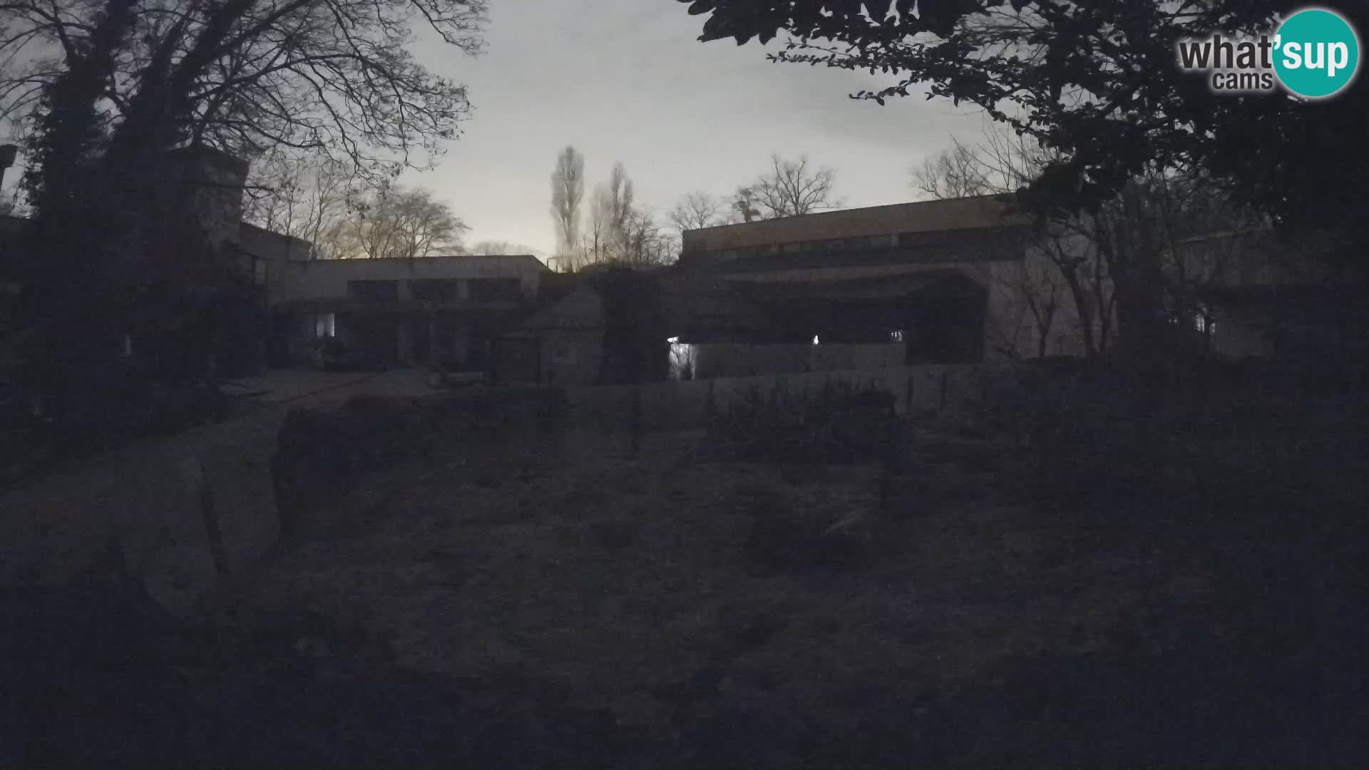 Zoo Zagreb – Erdmännchen