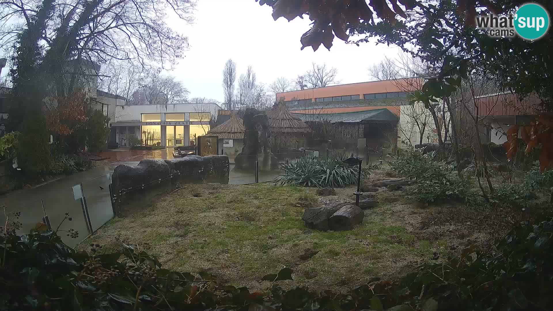 Zoo Zagreb – Suricata