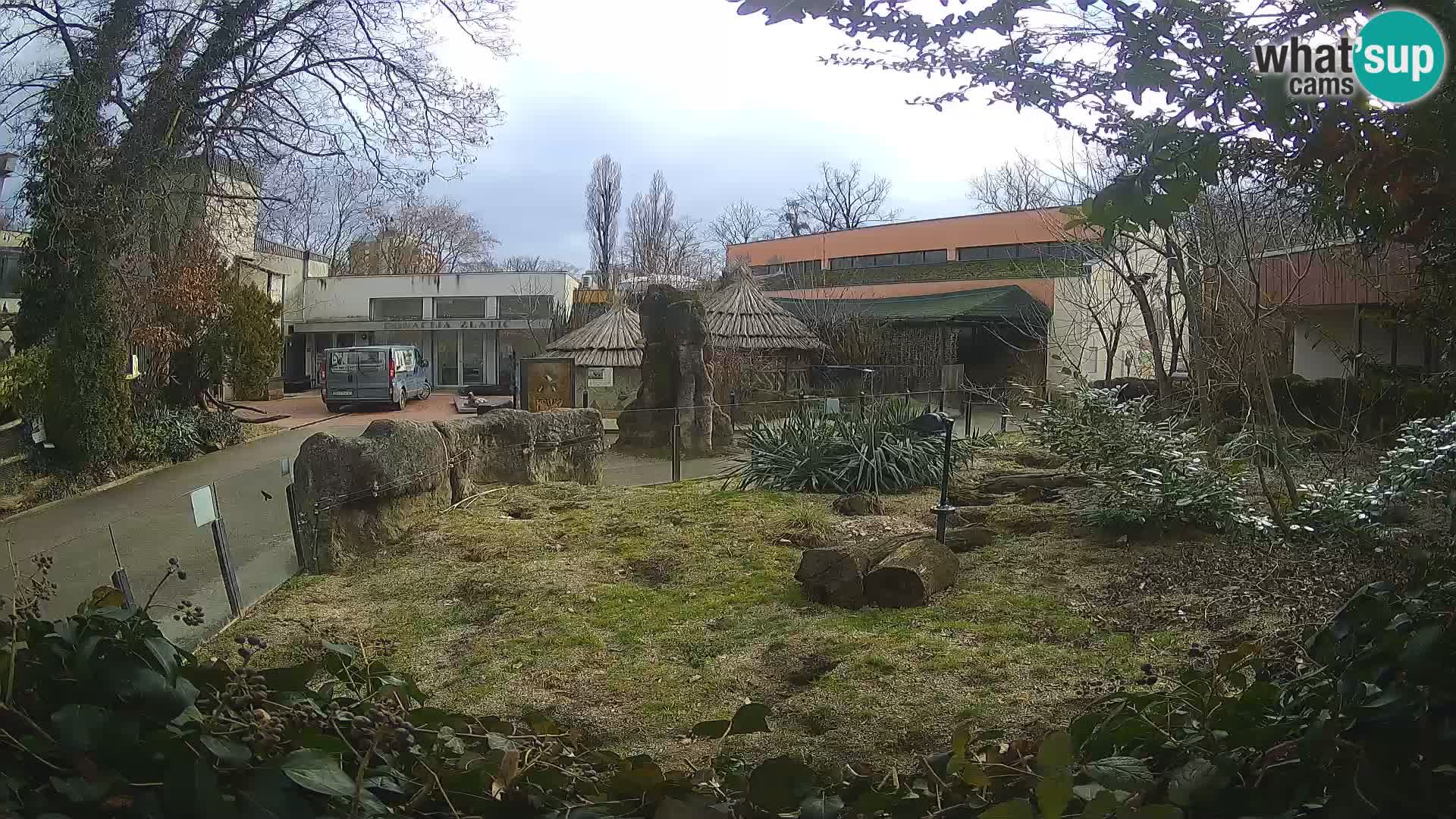 Zoo Zagreb – Surikate