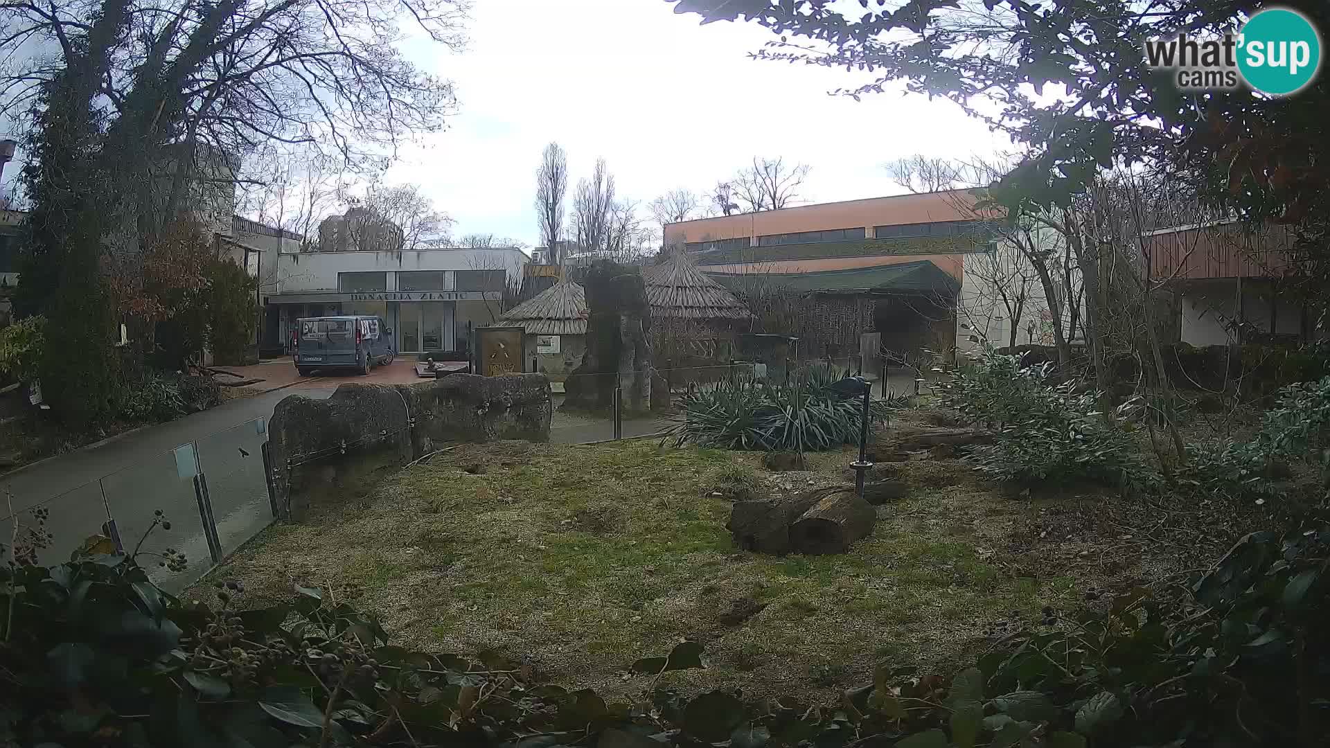 Zoo Zagreb – Suricata