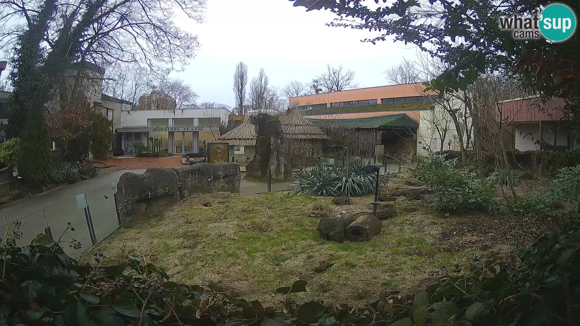 Zoo Zagreb – Erdmännchen