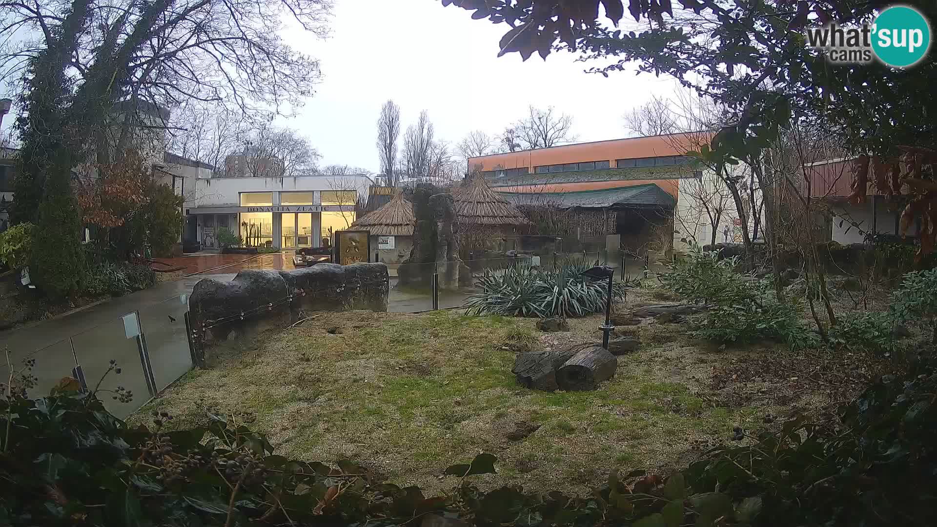 Zoo Zagreb – Erdmännchen