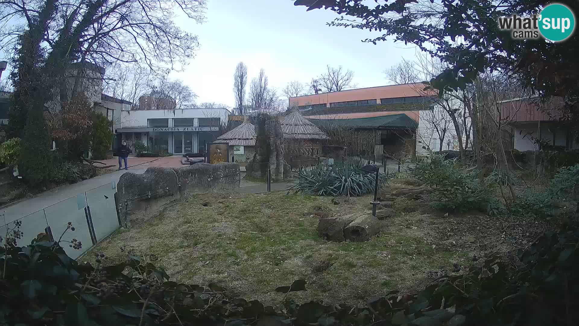 Zoo Zagreb – Suricate