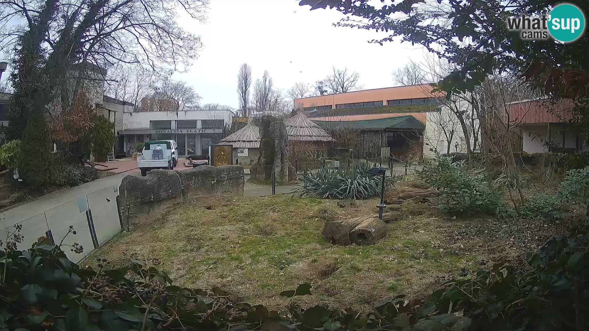 Zoo Zagreb – Erdmännchen