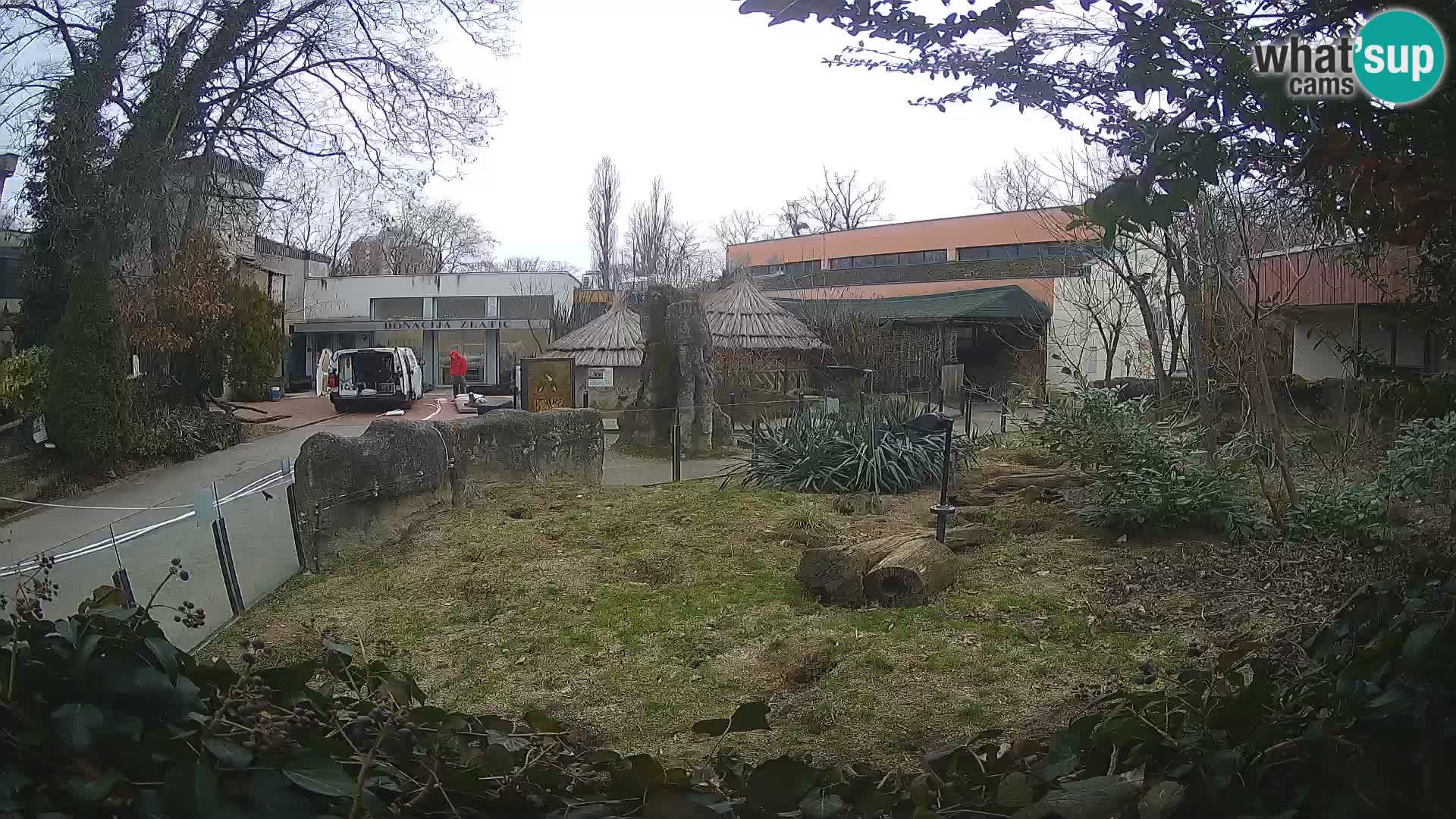 Zoo Zagreb – Surikate