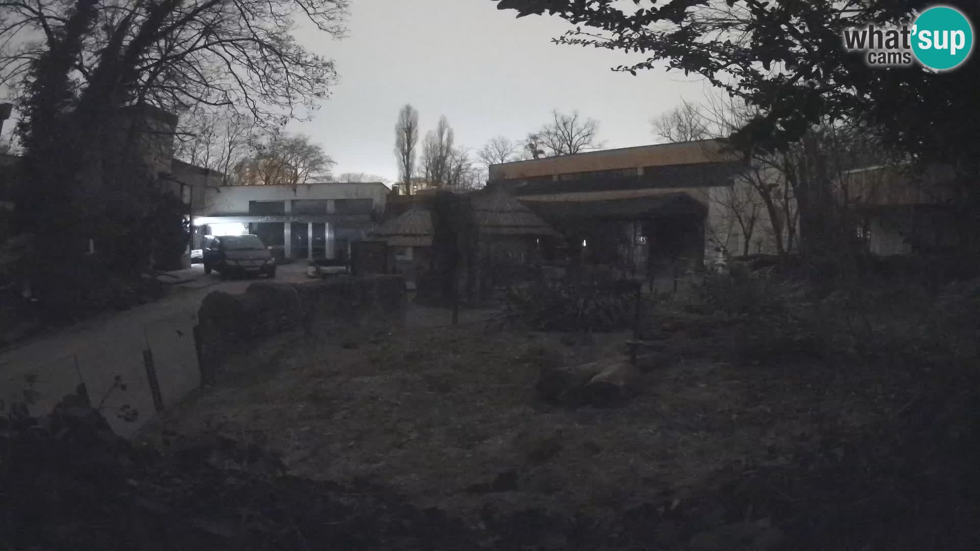 Zoo Zagreb – Surikate