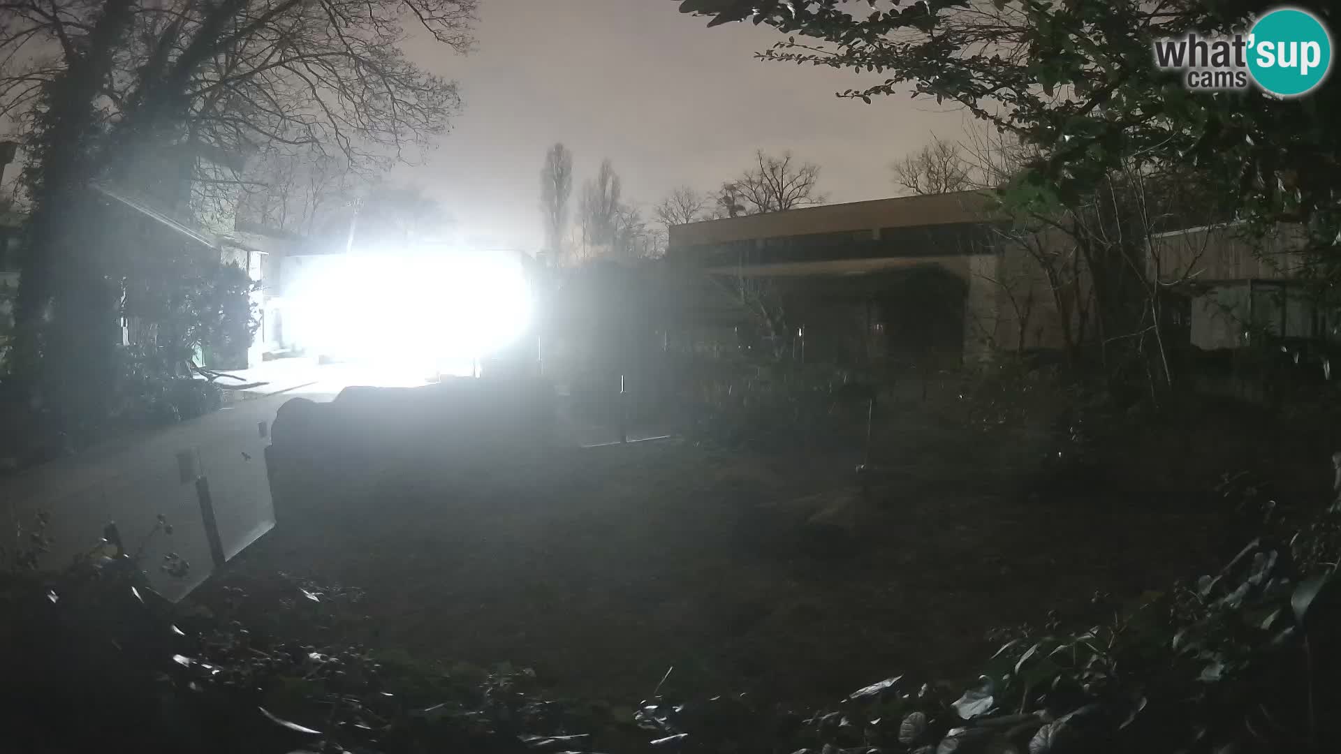 Zoo Zagreb – Merkat