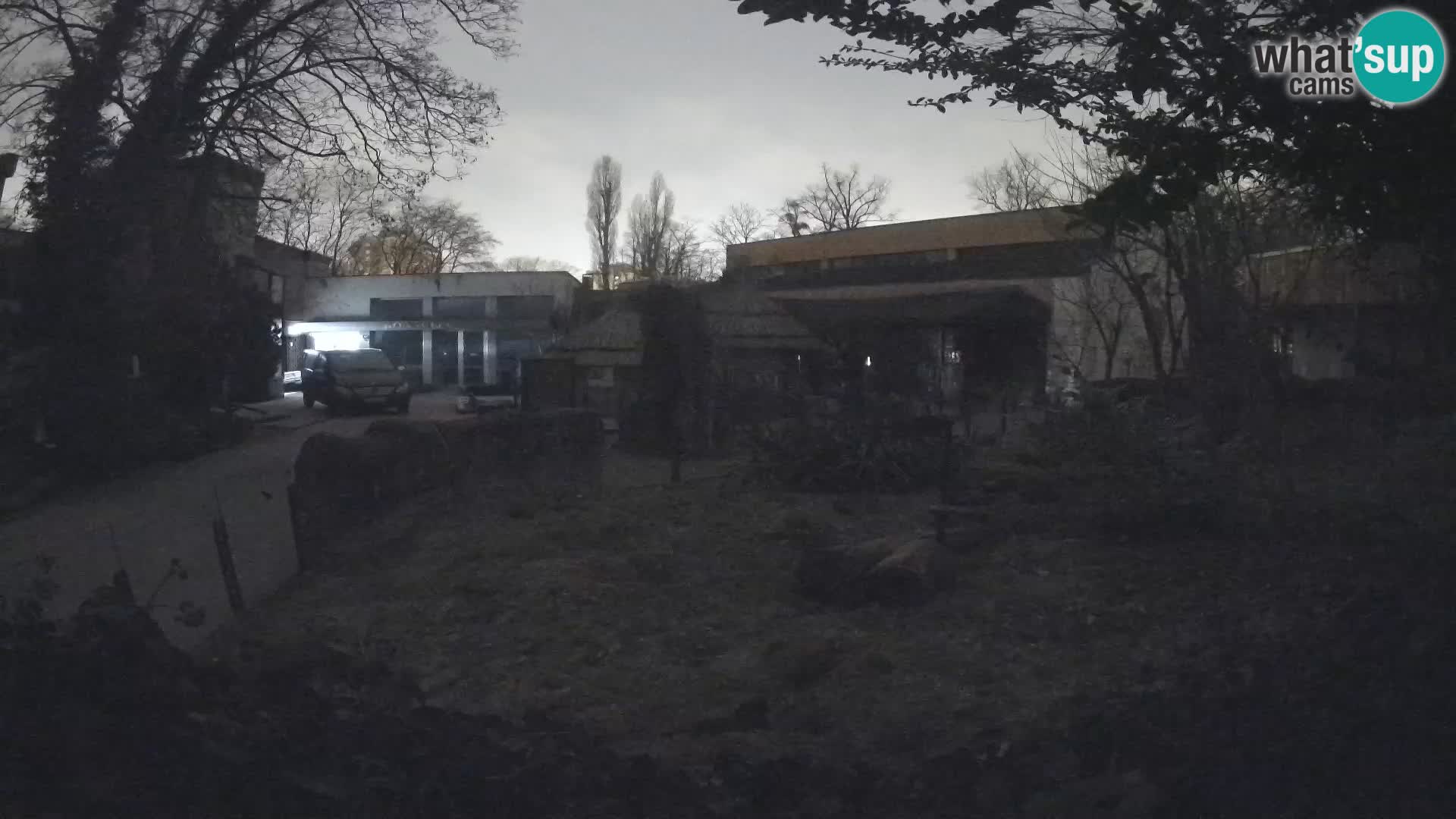 Zoo Zagreb – Surikate