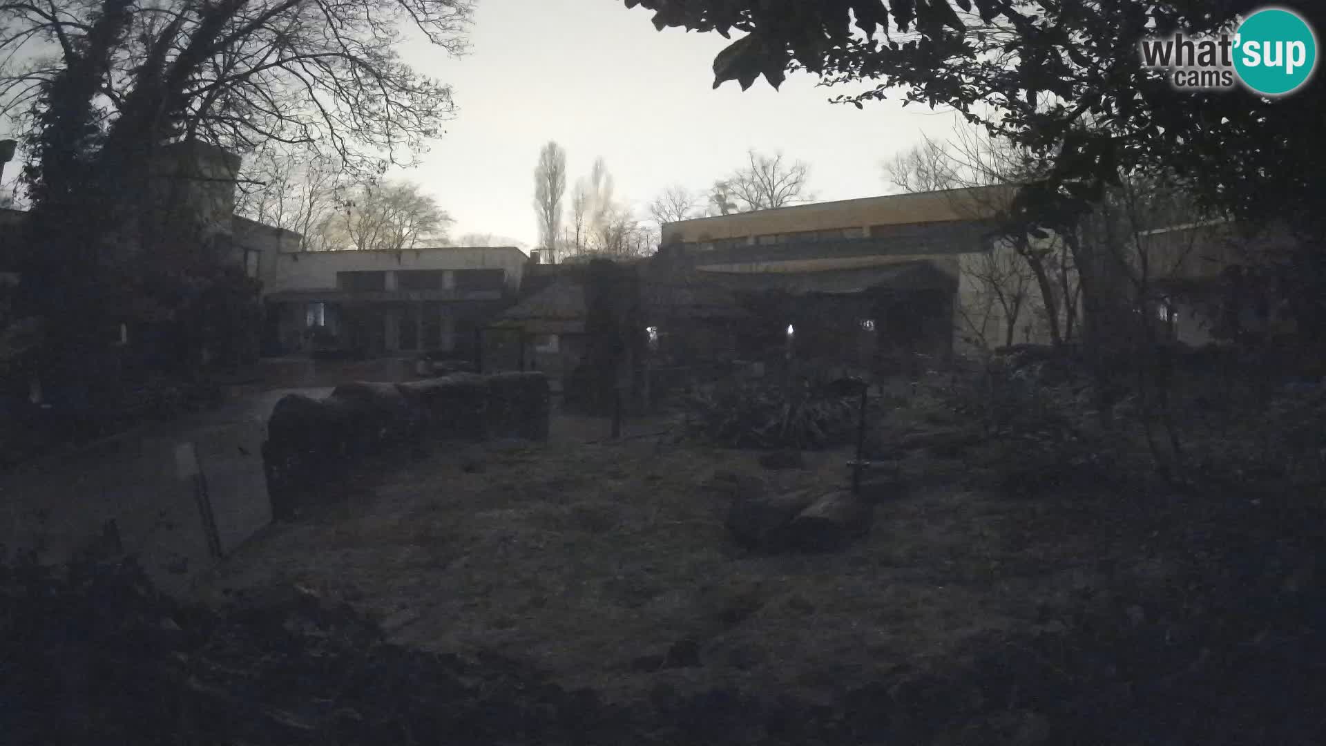 Zoo Zagreb – Erdmännchen