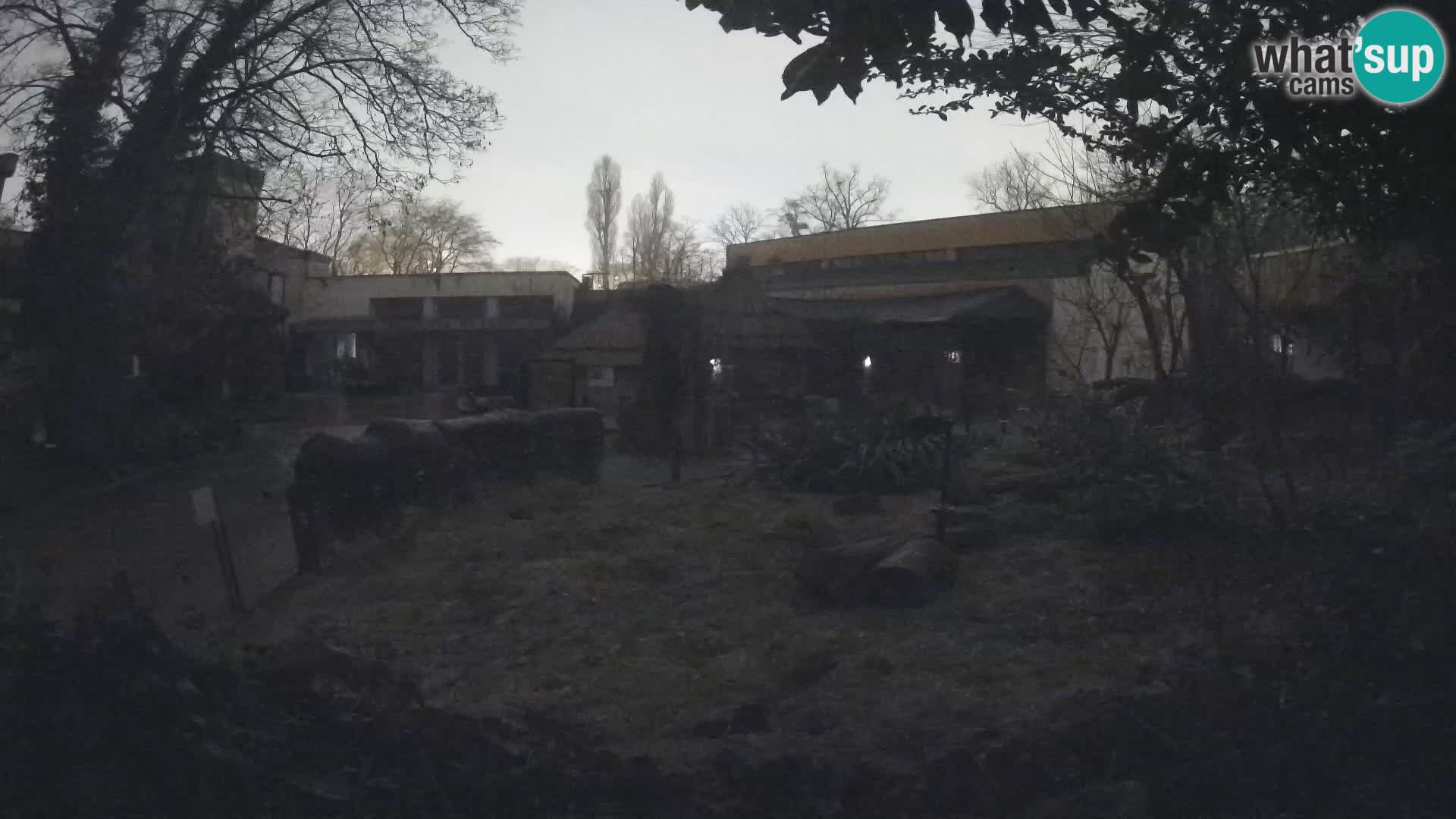 Zoo Zagreb – Erdmännchen