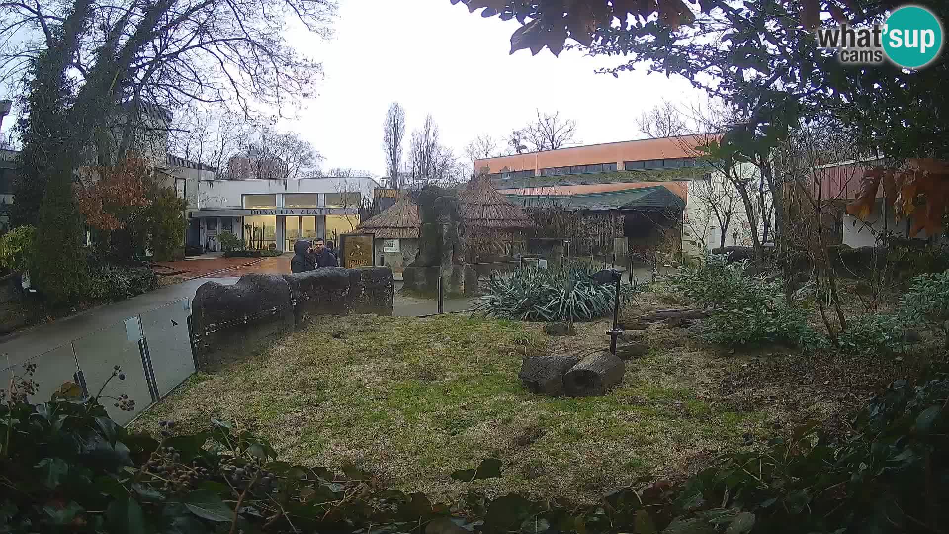 Zoo Zagreb – Surikate