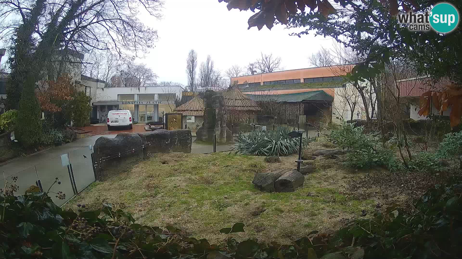 Zoo Zagreb – Erdmännchen