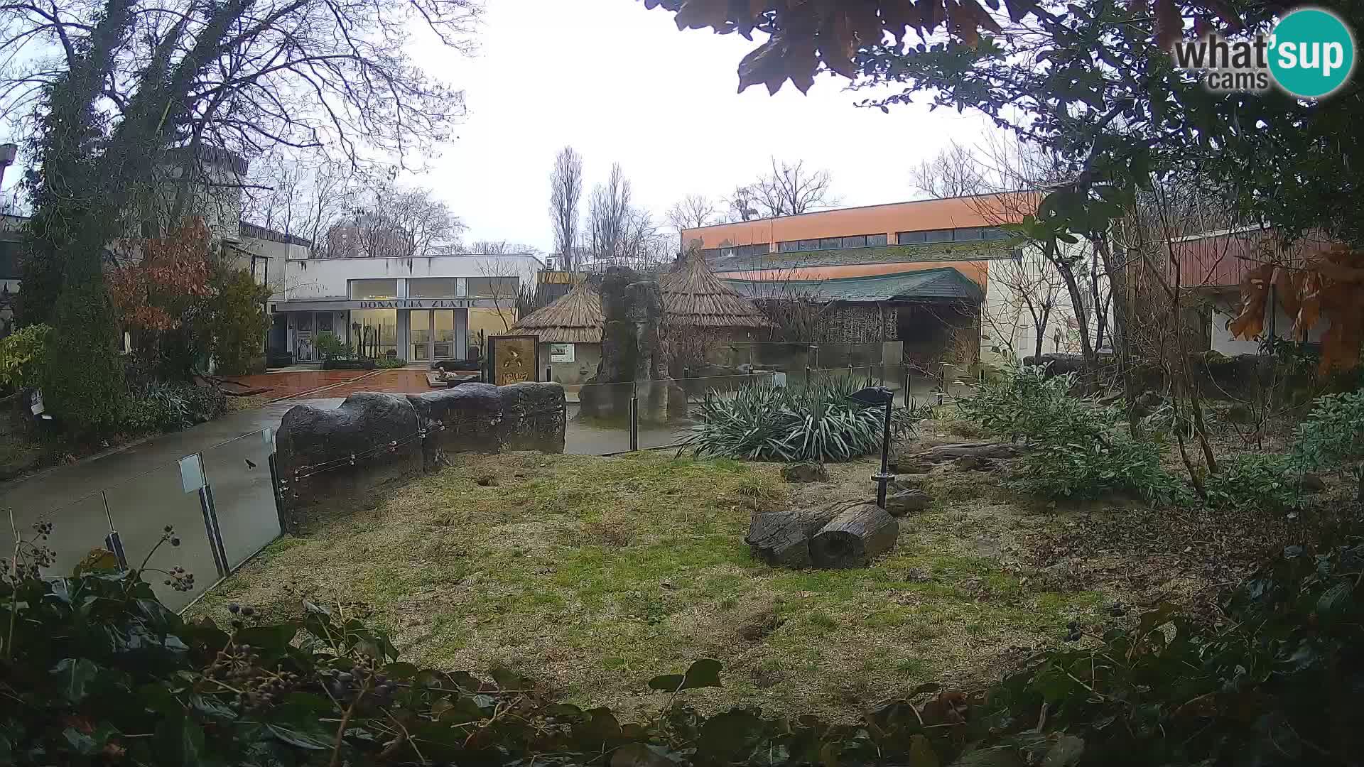 Zoo Zagreb – Erdmännchen