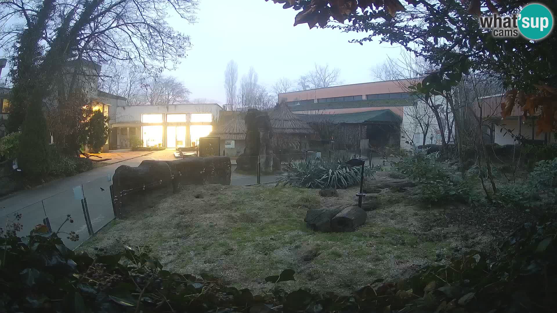 Zoo Zagreb – Erdmännchen