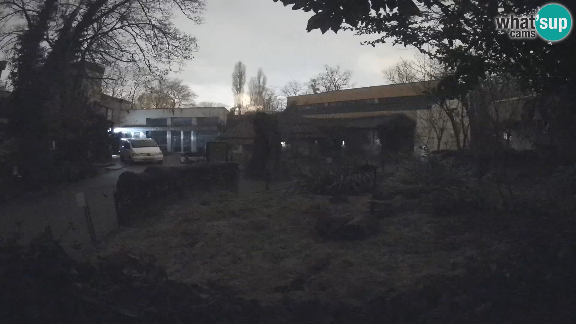 Zoo Zagreb – Surikate