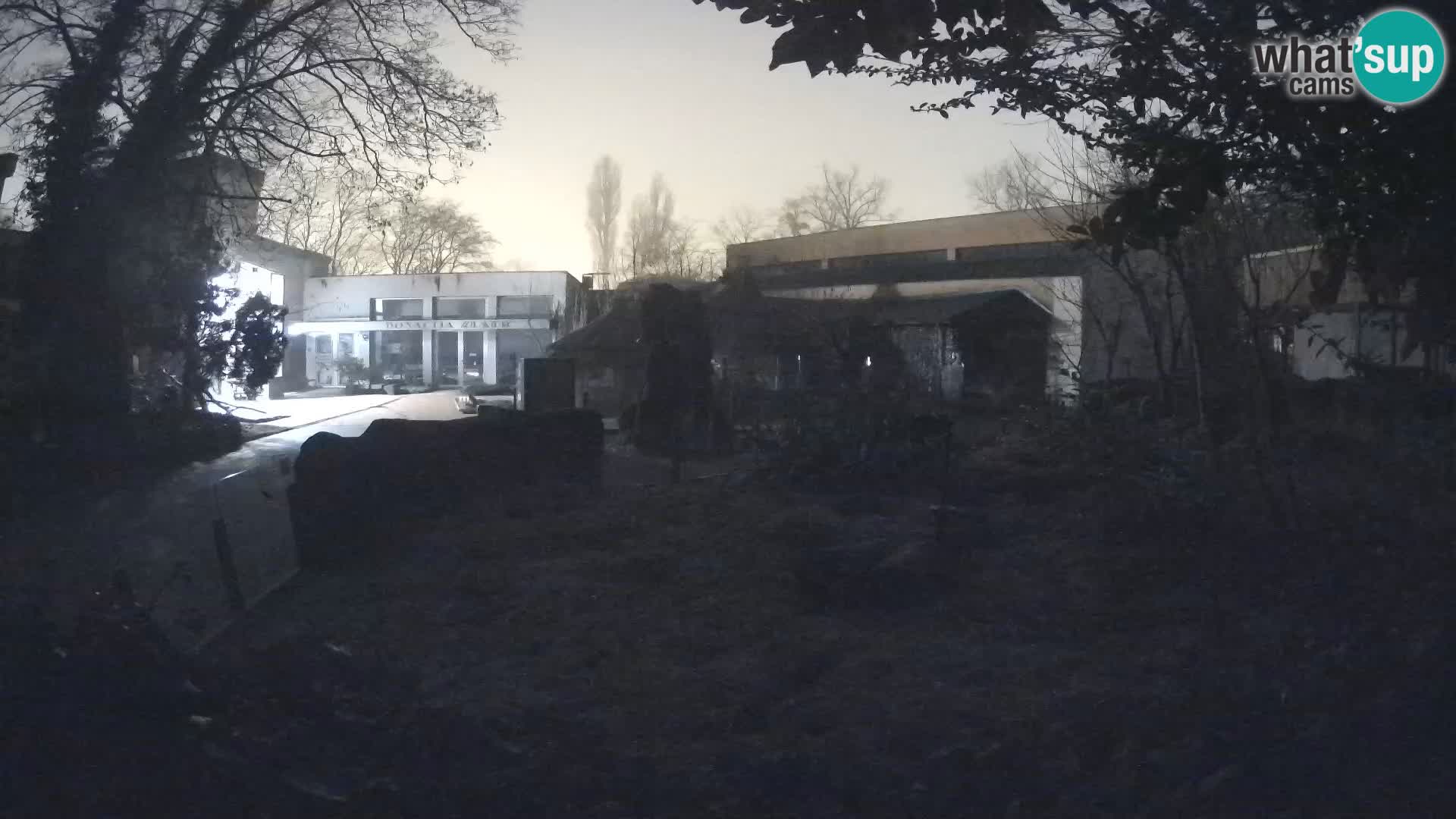 Zoo Zagreb – Erdmännchen