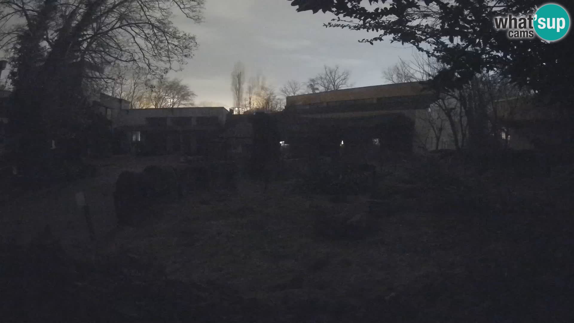 Zoo Zagreb – Merkat