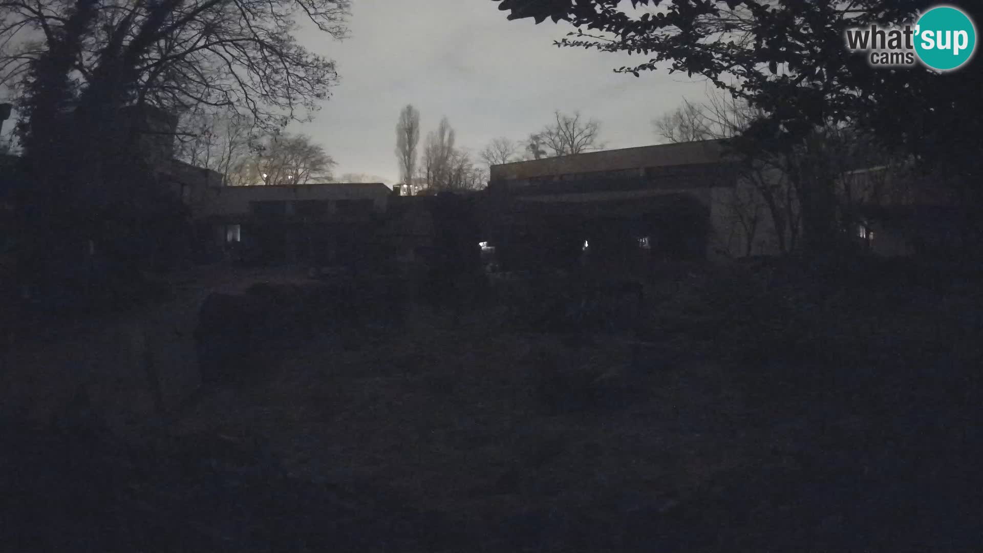 Zoo Zagreb – Merkat