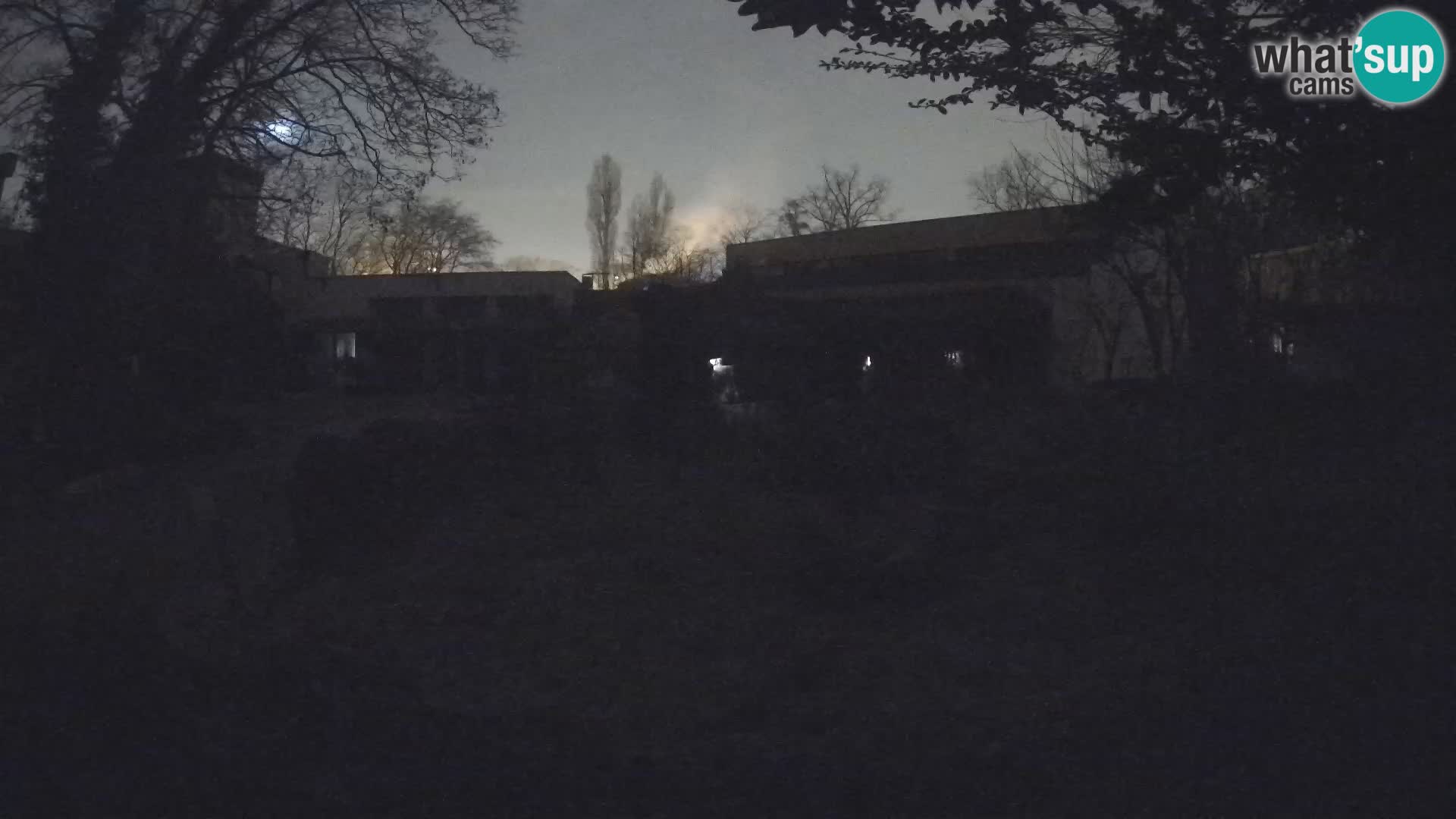 Zoo Zagreb – Erdmännchen