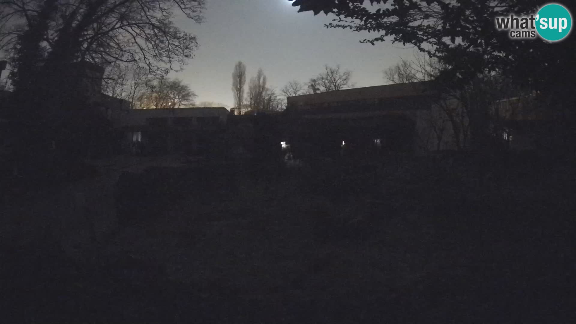 Zoo Zagreb – Surikate