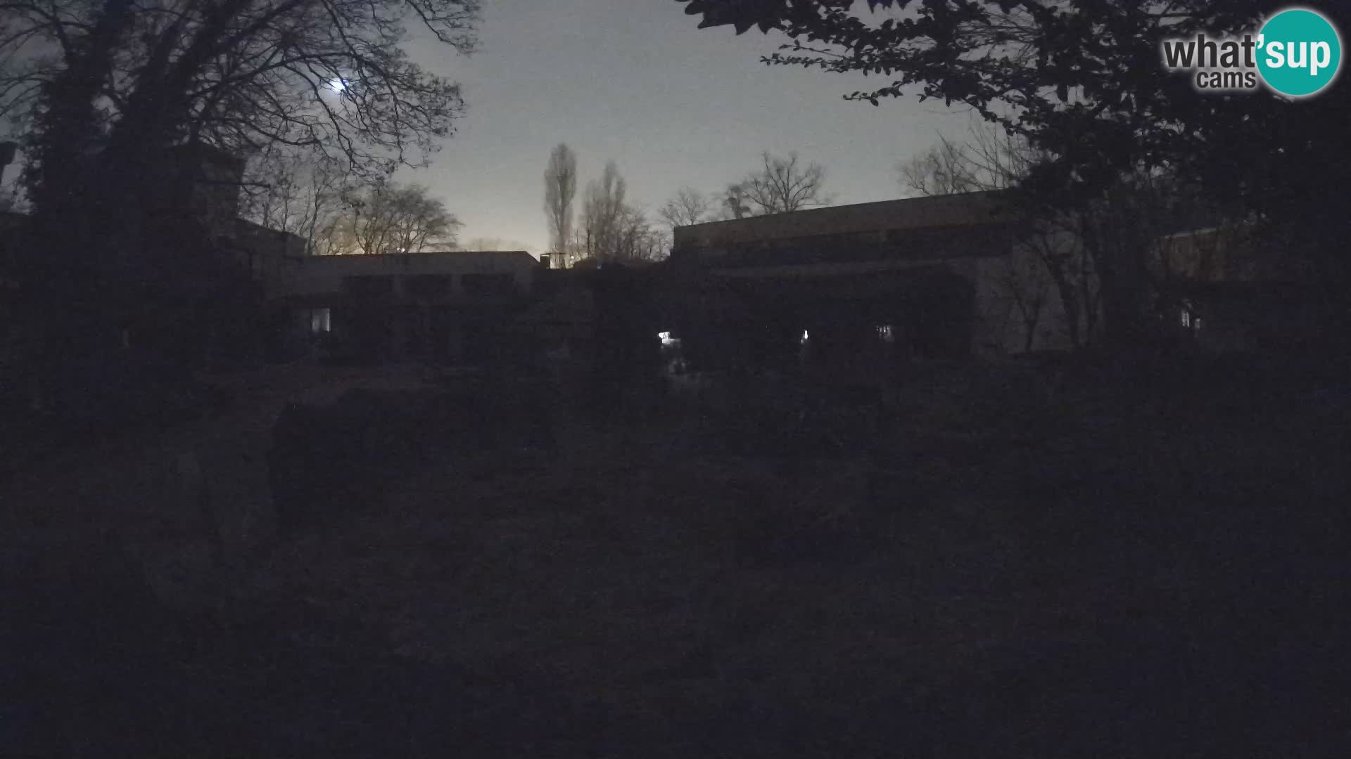 Zoo Zagreb – Erdmännchen