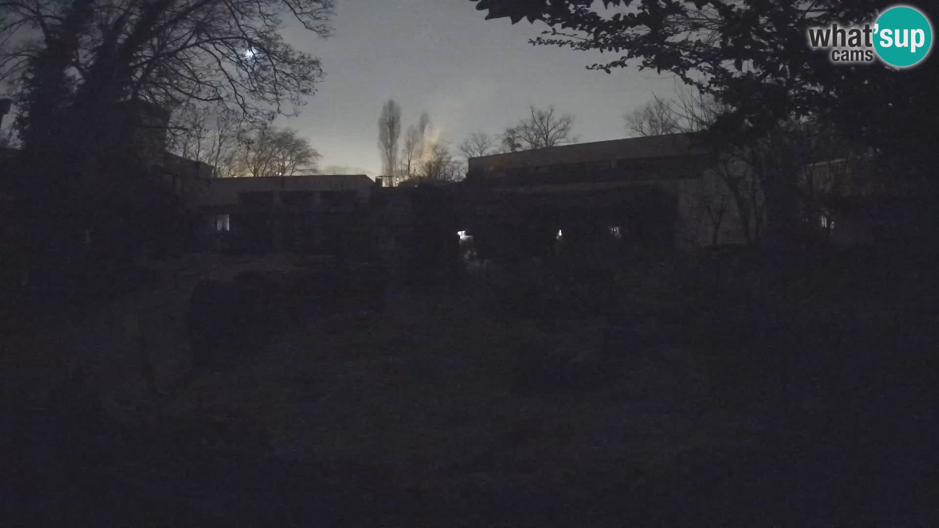 Zoo Zagreb – Surikate