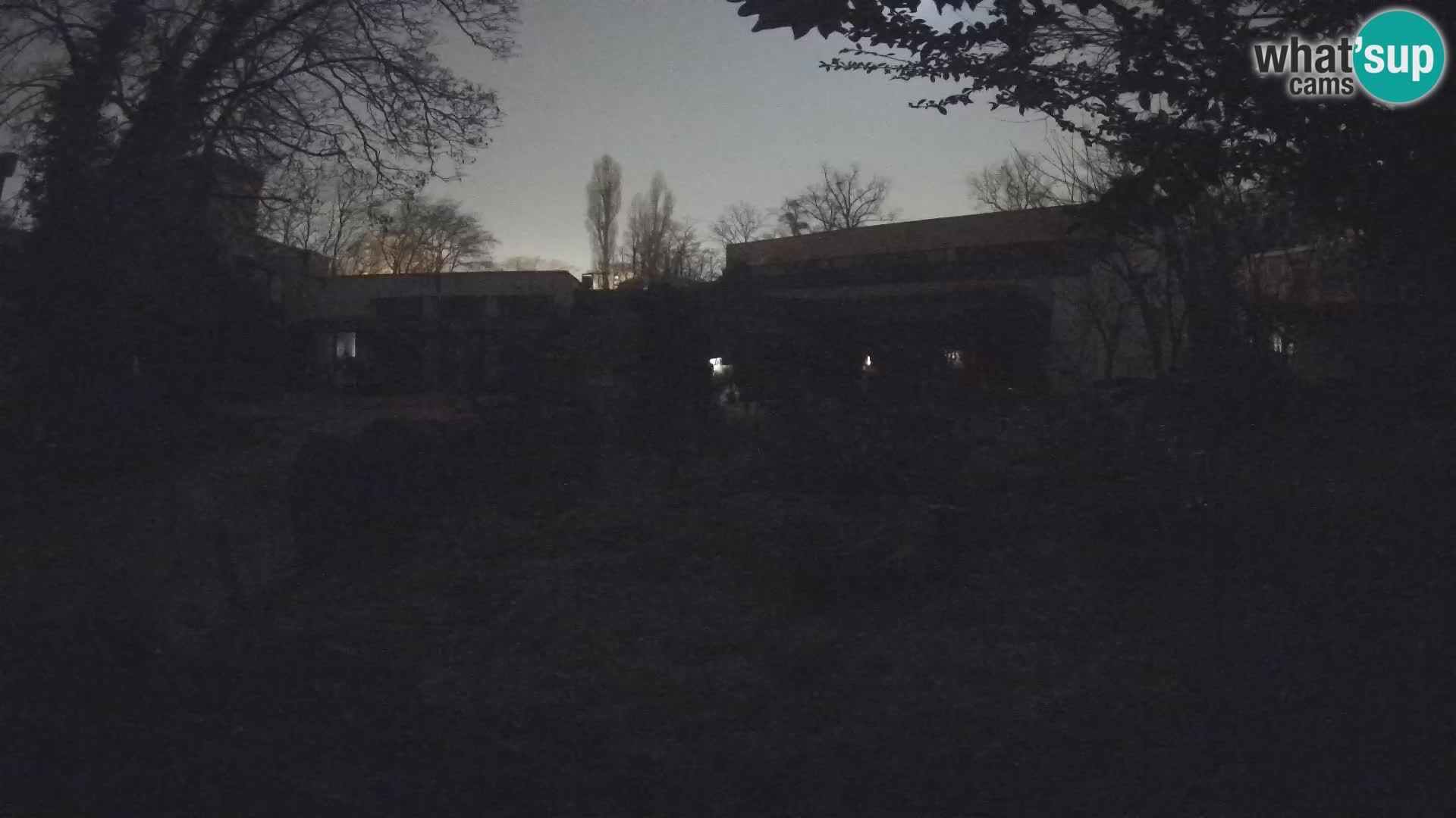 Zoo Zagreb – Merkat