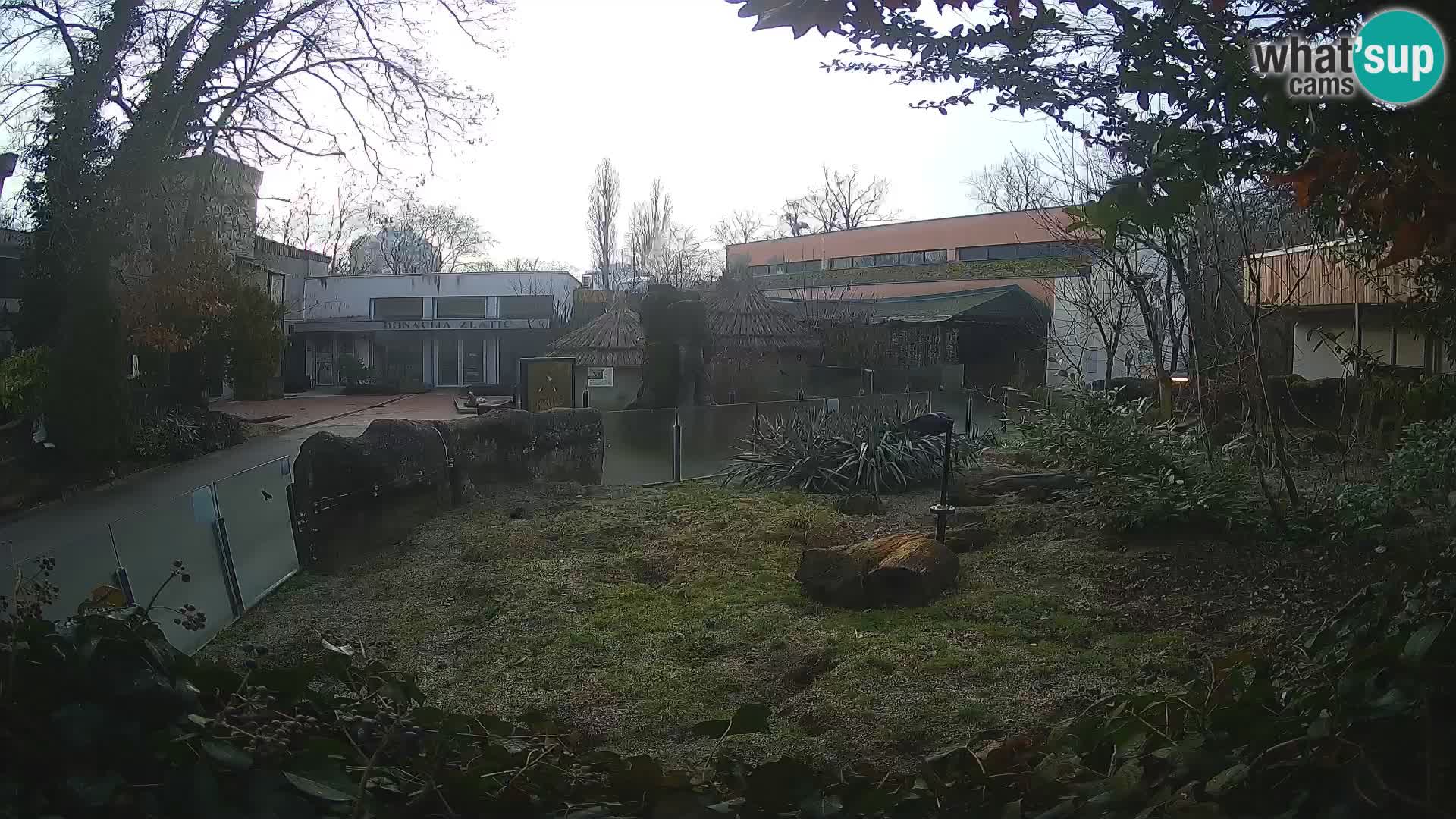 Zoo Zagreb – Erdmännchen