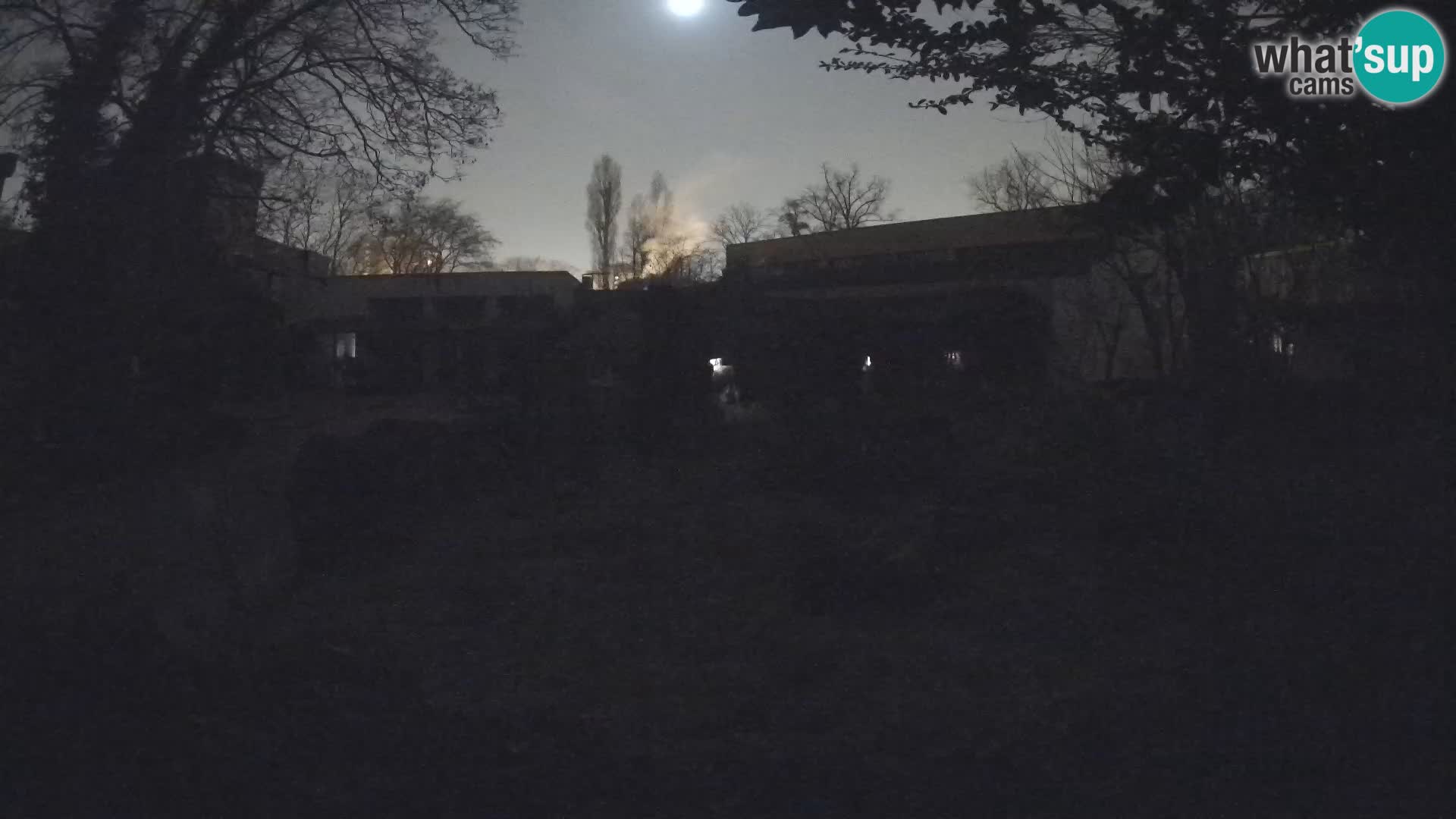 Zoo Zagreb – Erdmännchen